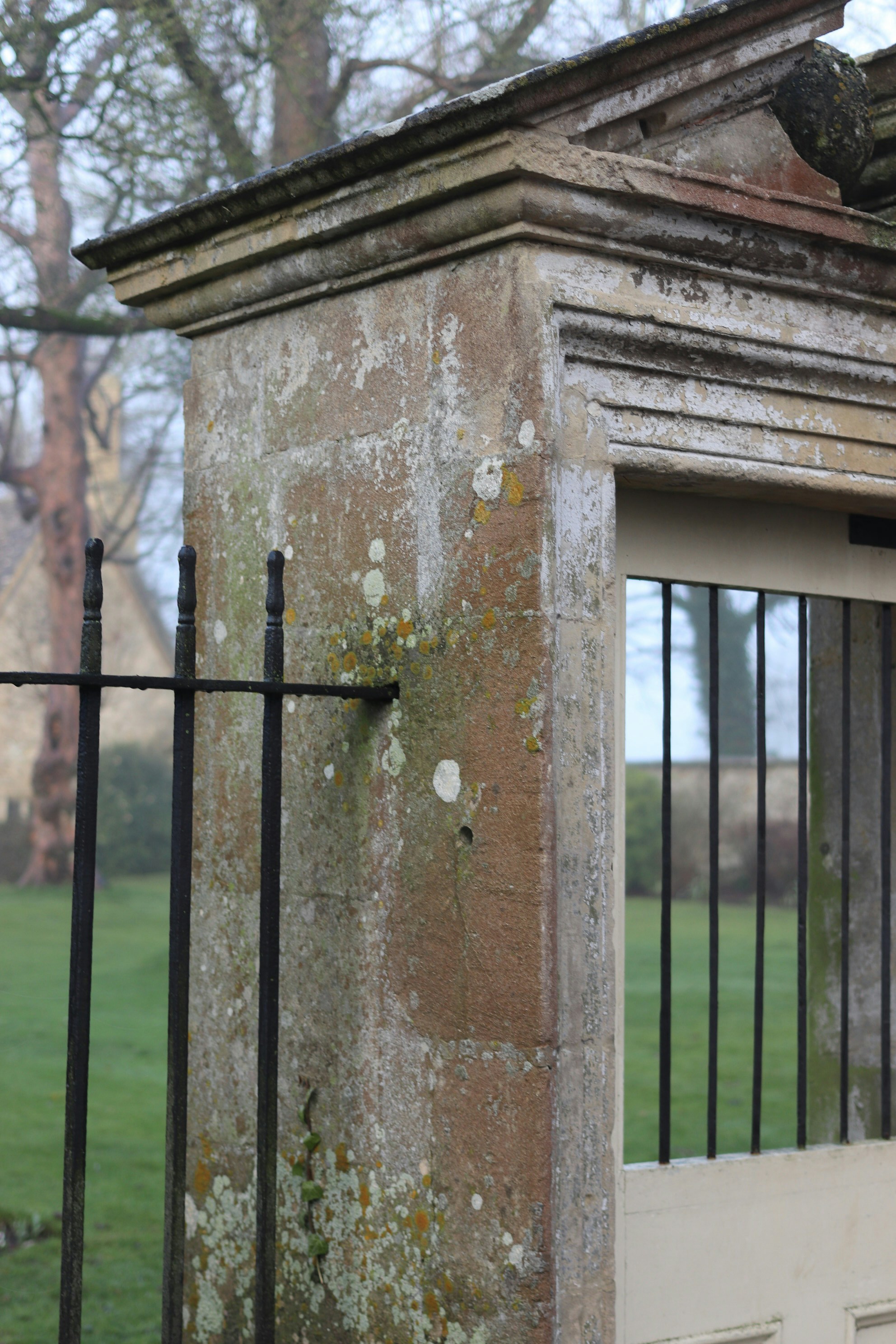 Photo by tanyabarrow