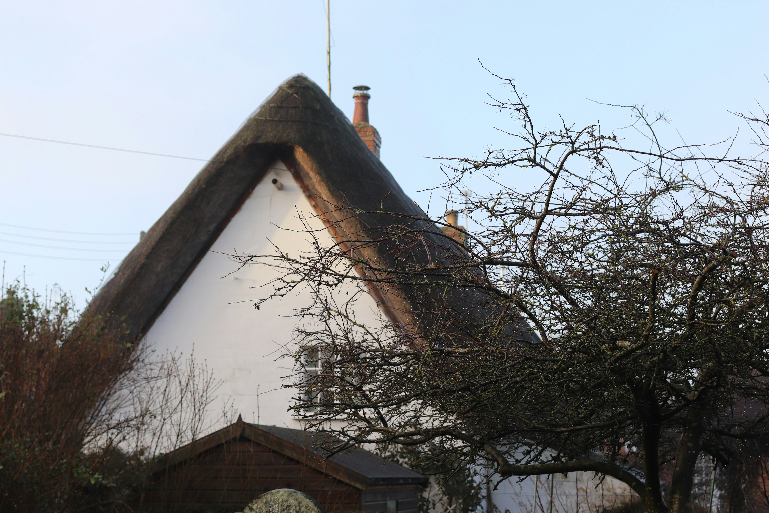 Photo by tanyabarrow