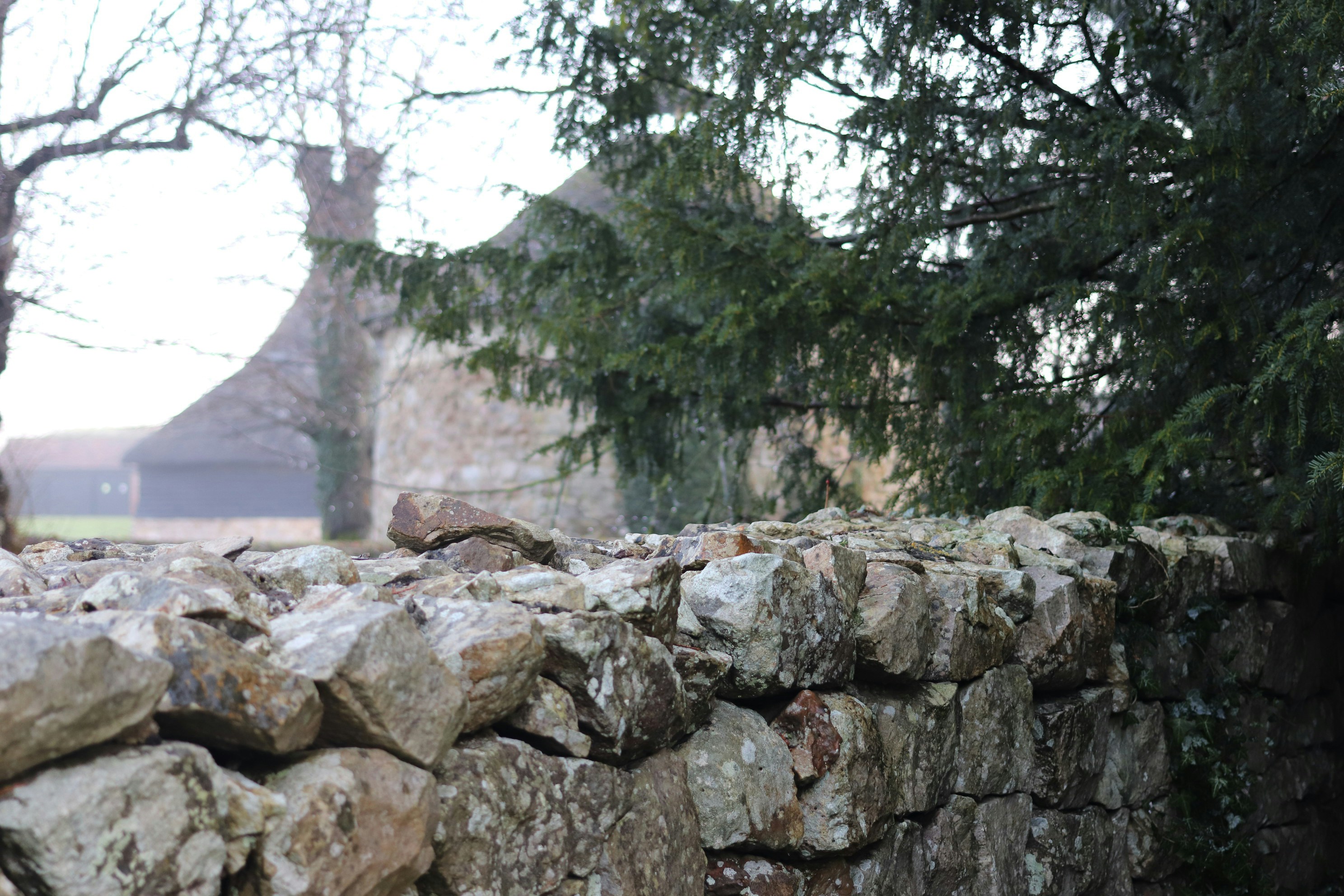 Photo by tanyabarrow