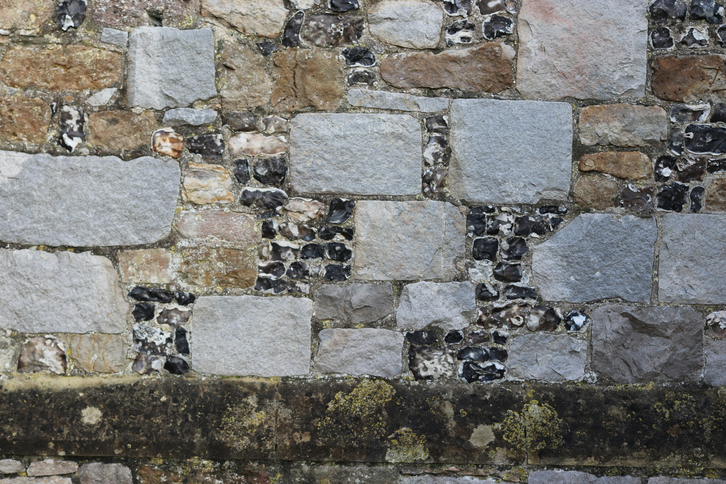 Photo by tanyabarrow