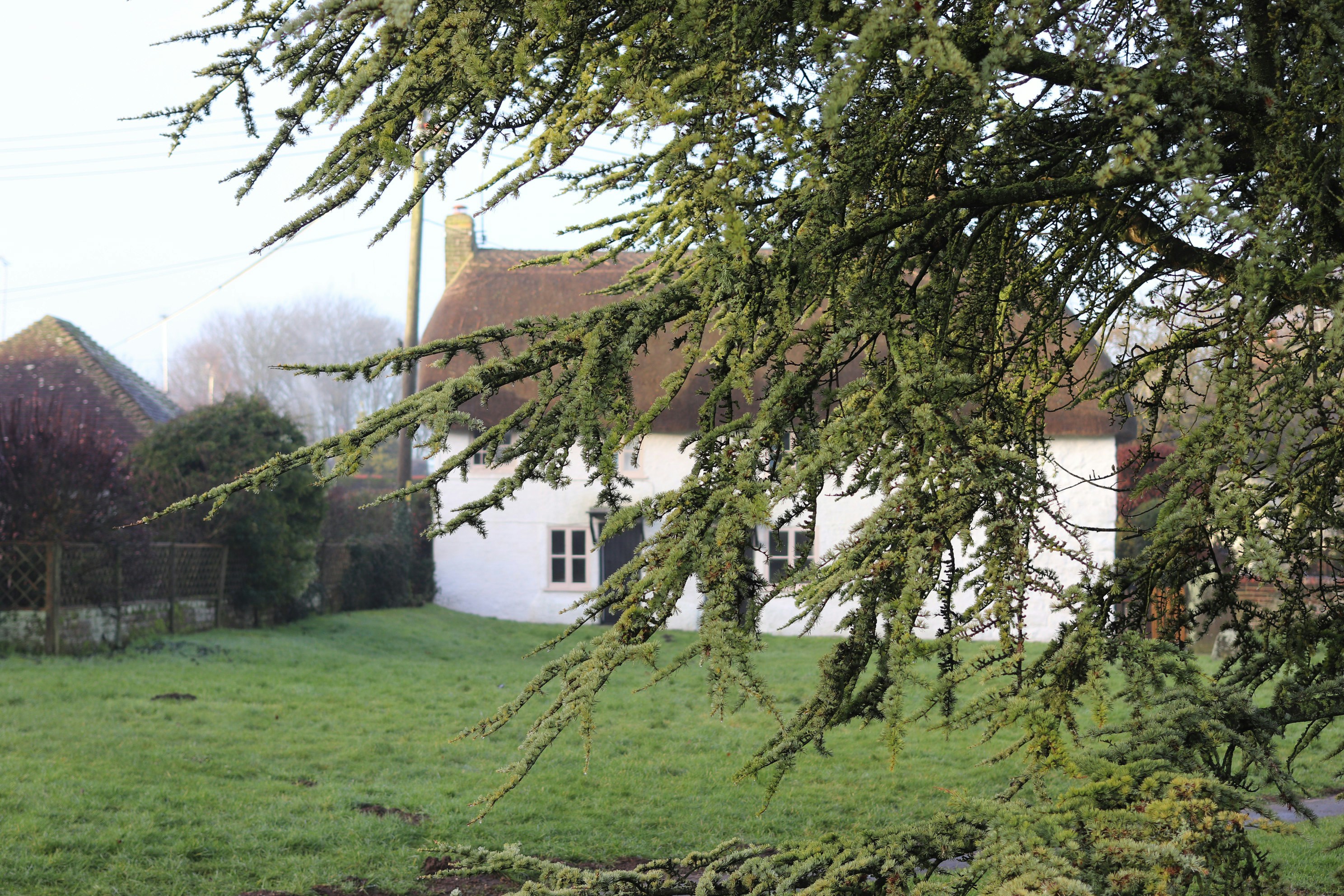 Photo by tanyabarrow