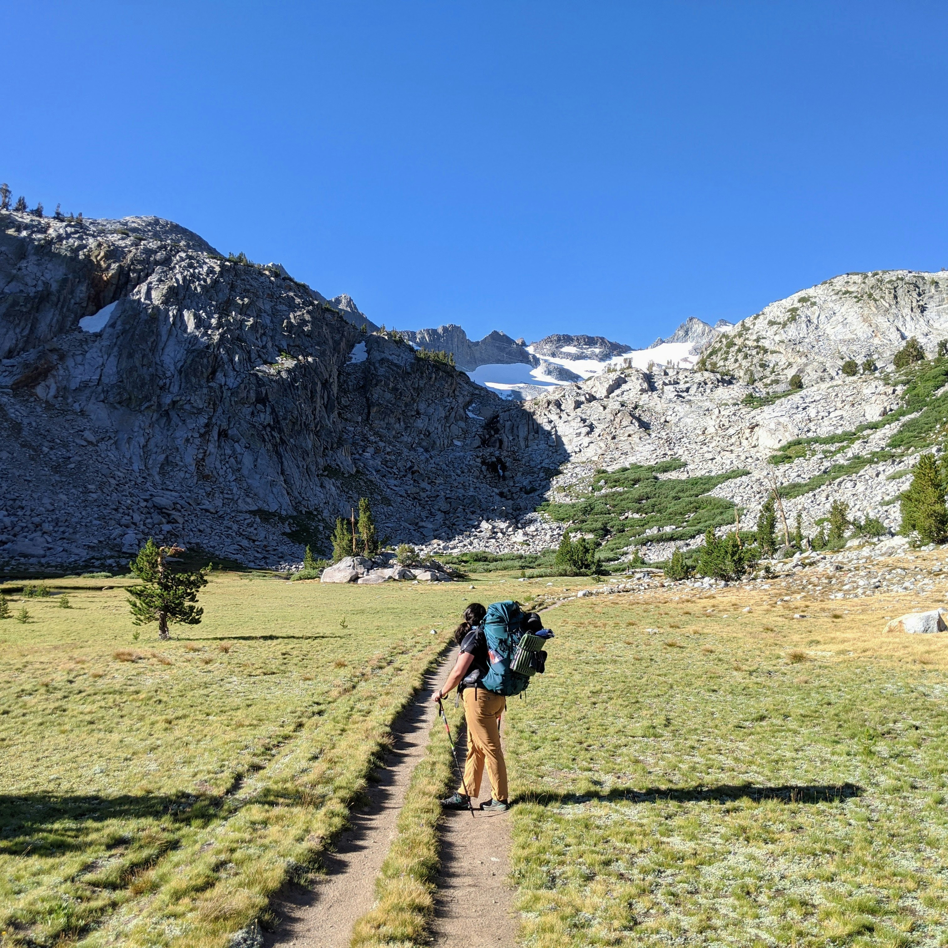 Hiker with backpack walks on trail through grassy meadow.