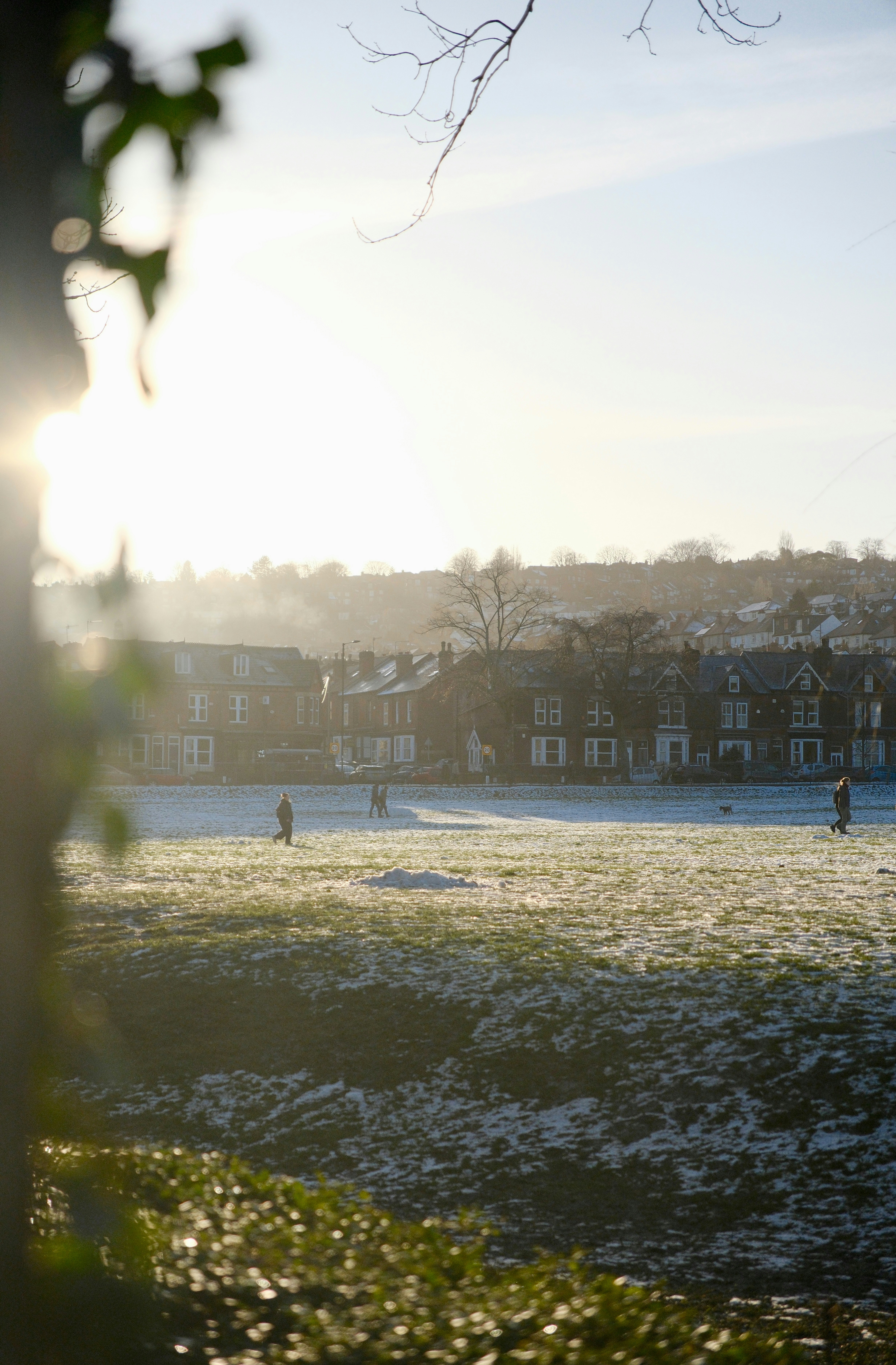 Photo by alekseixagafonov