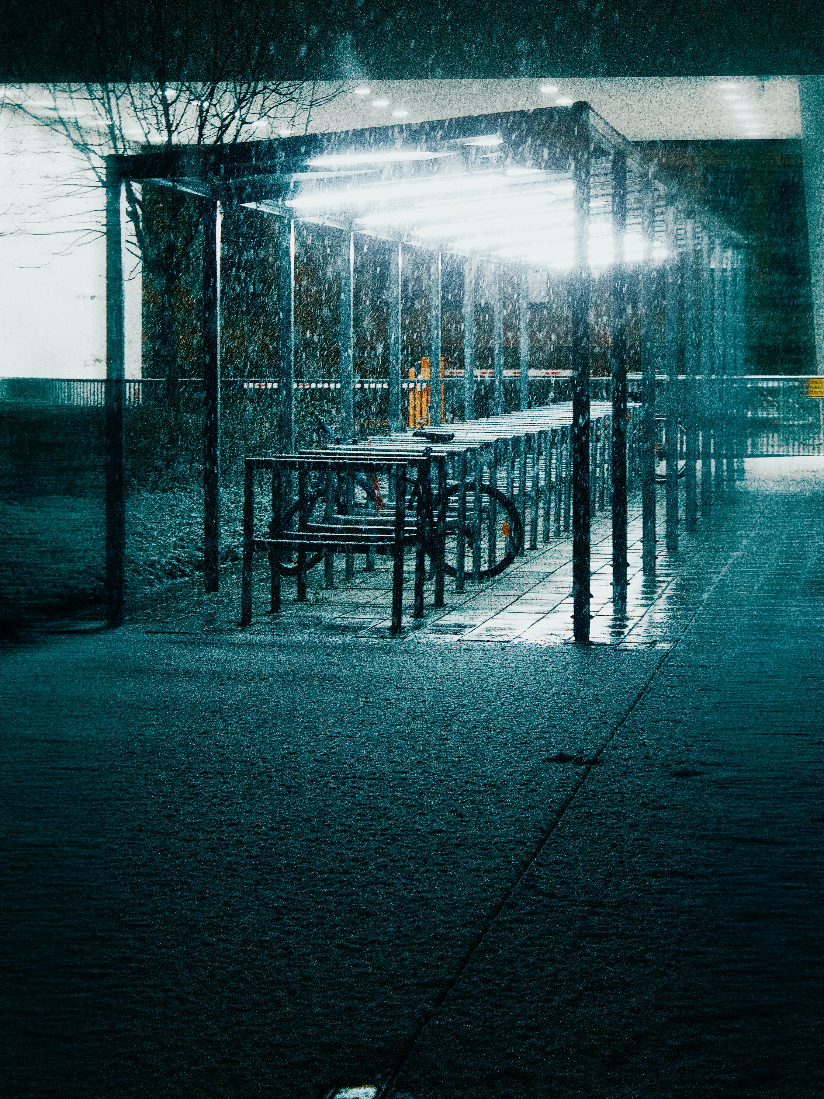 Photo by thesyberian