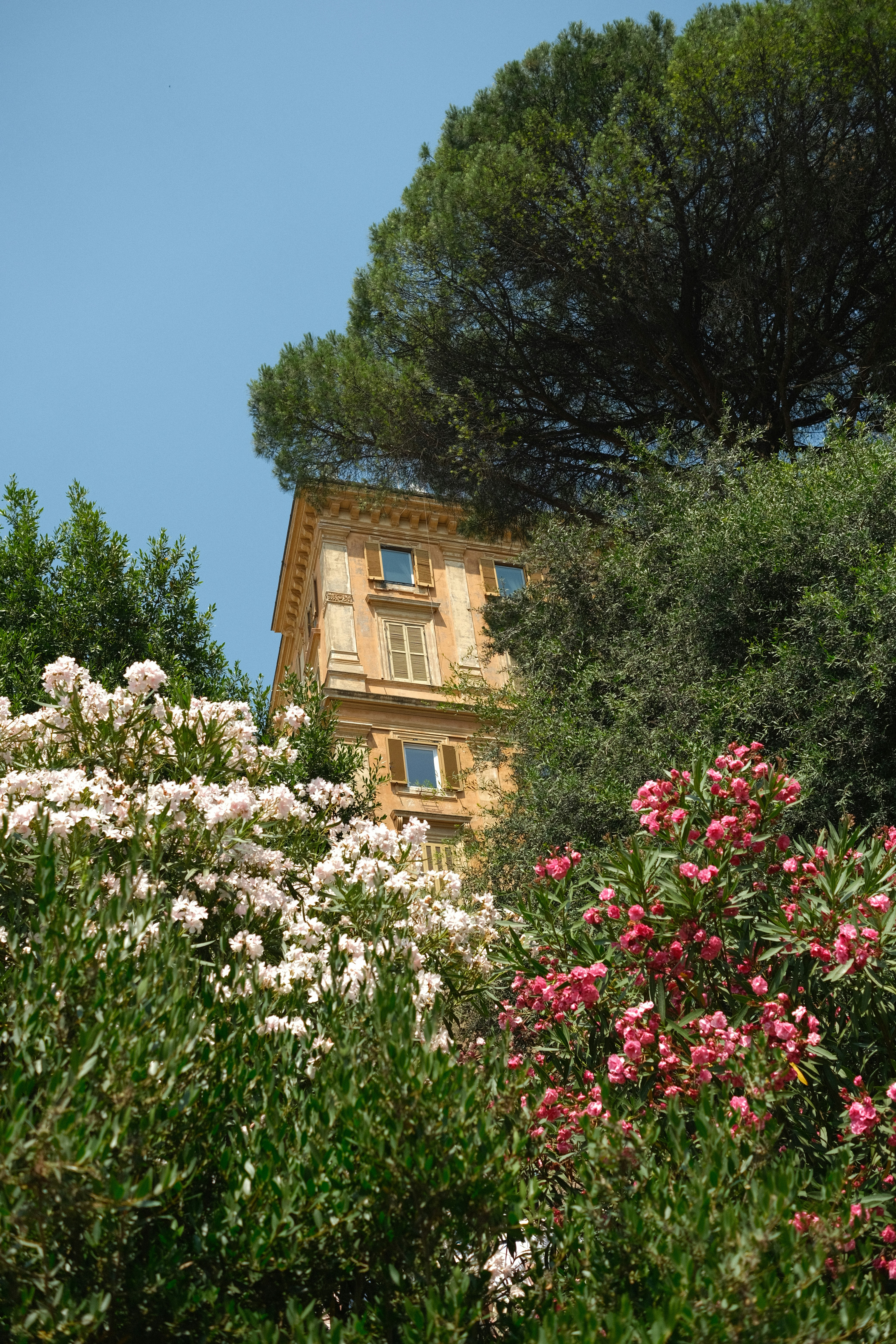 Building peeking through lush green trees and flowers