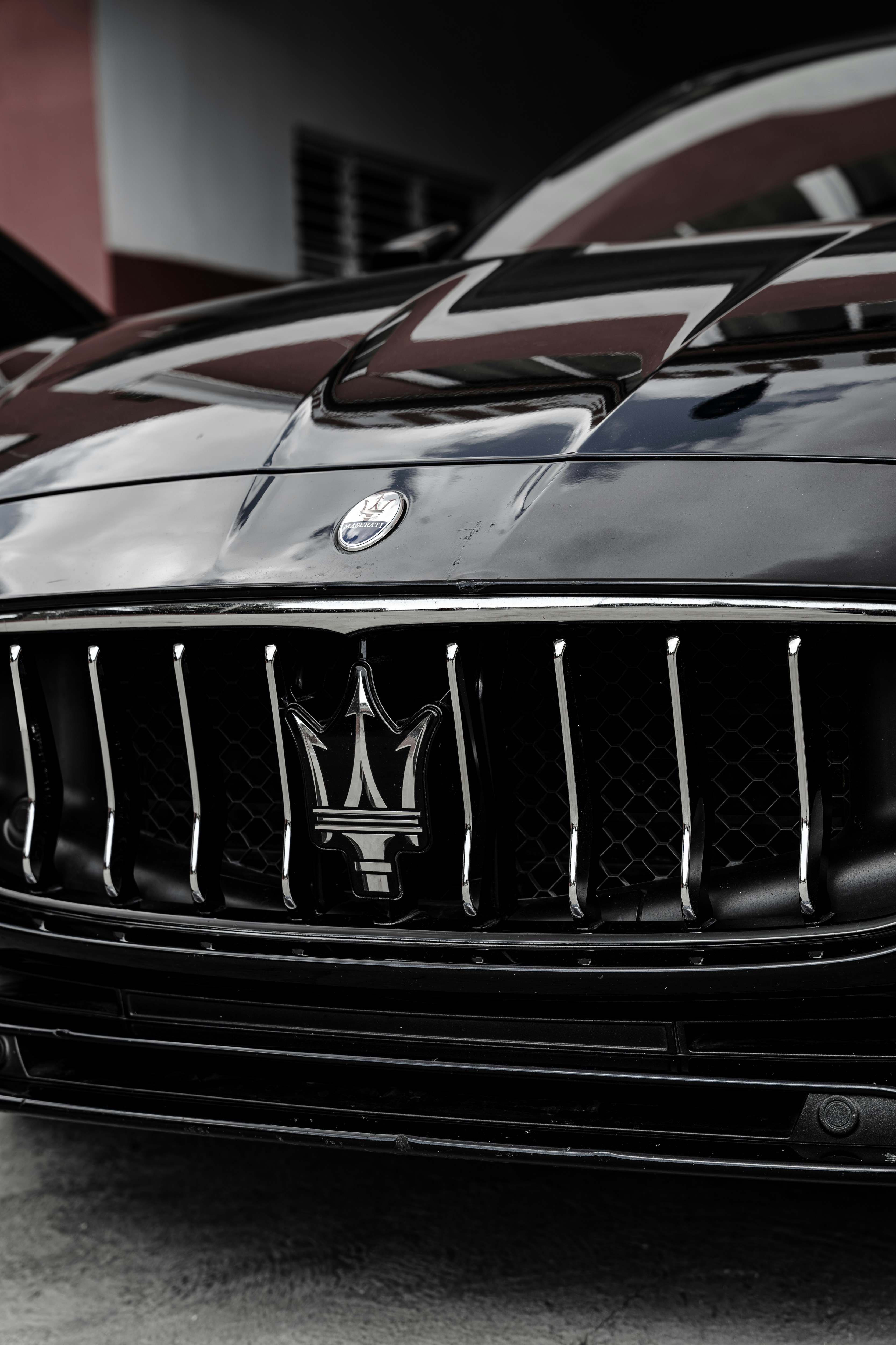 Photo by miguelphoto