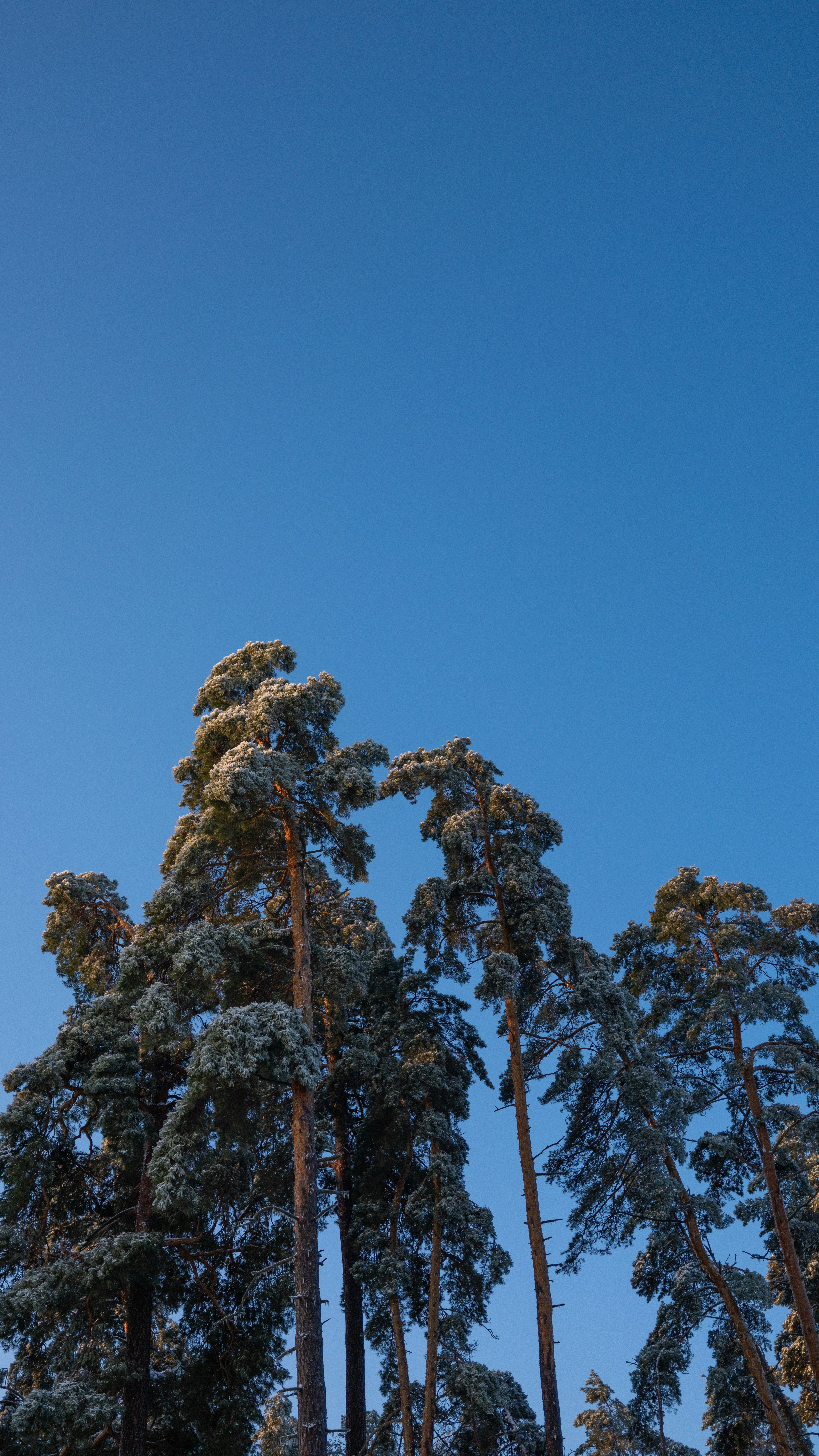 Photo by eugenechystiakov