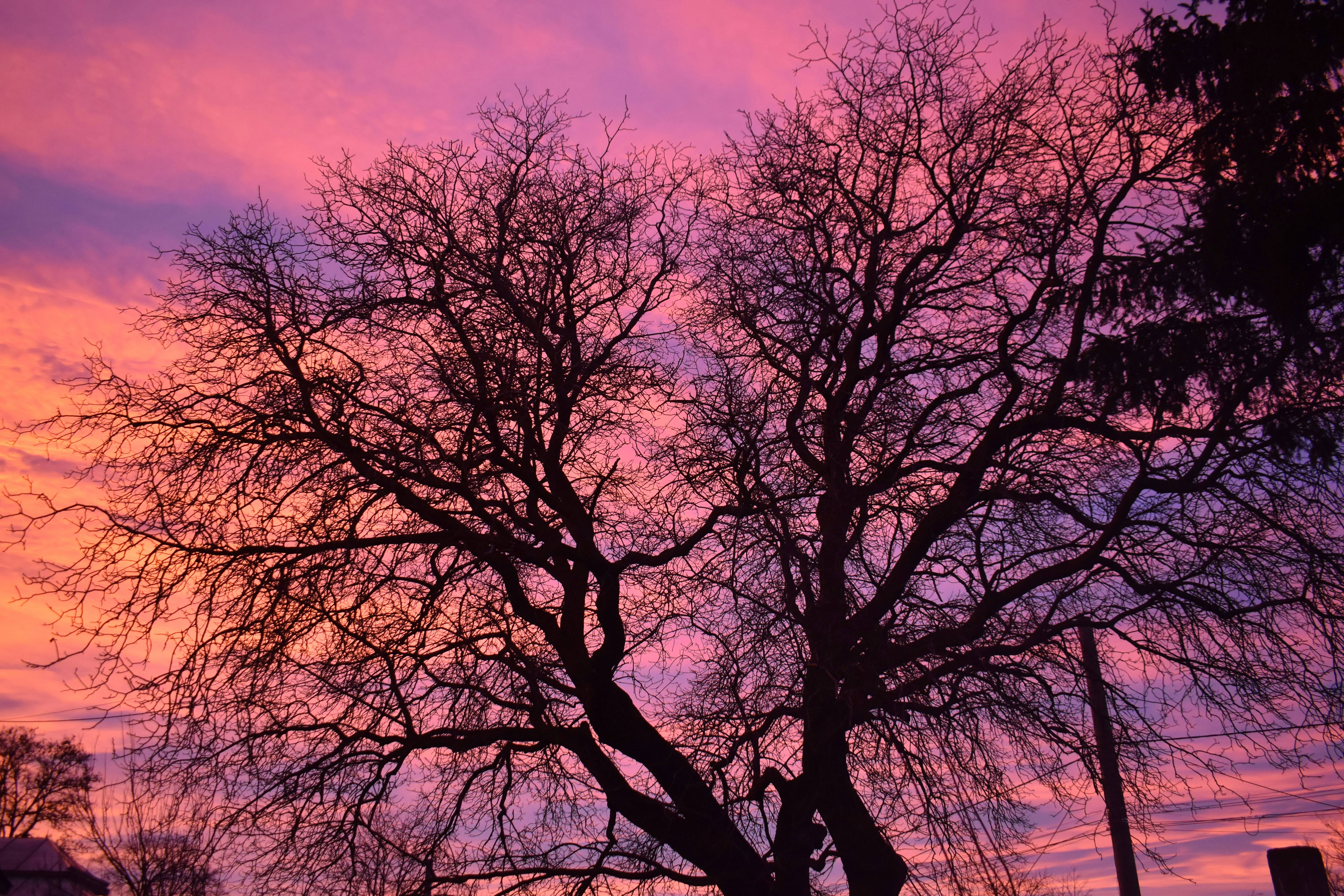 Photo by annnnnnnna8