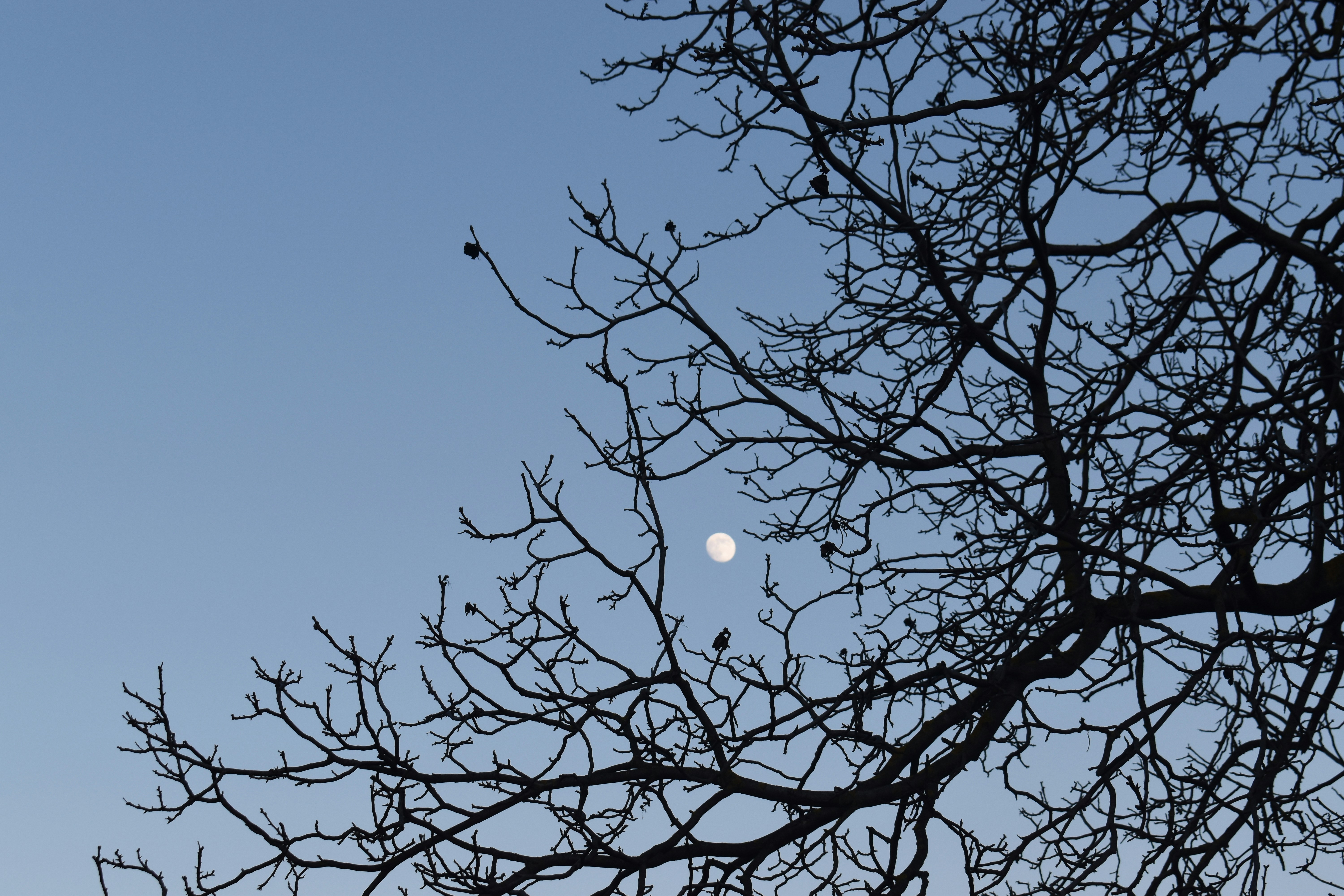 Photo by annnnnnnna8