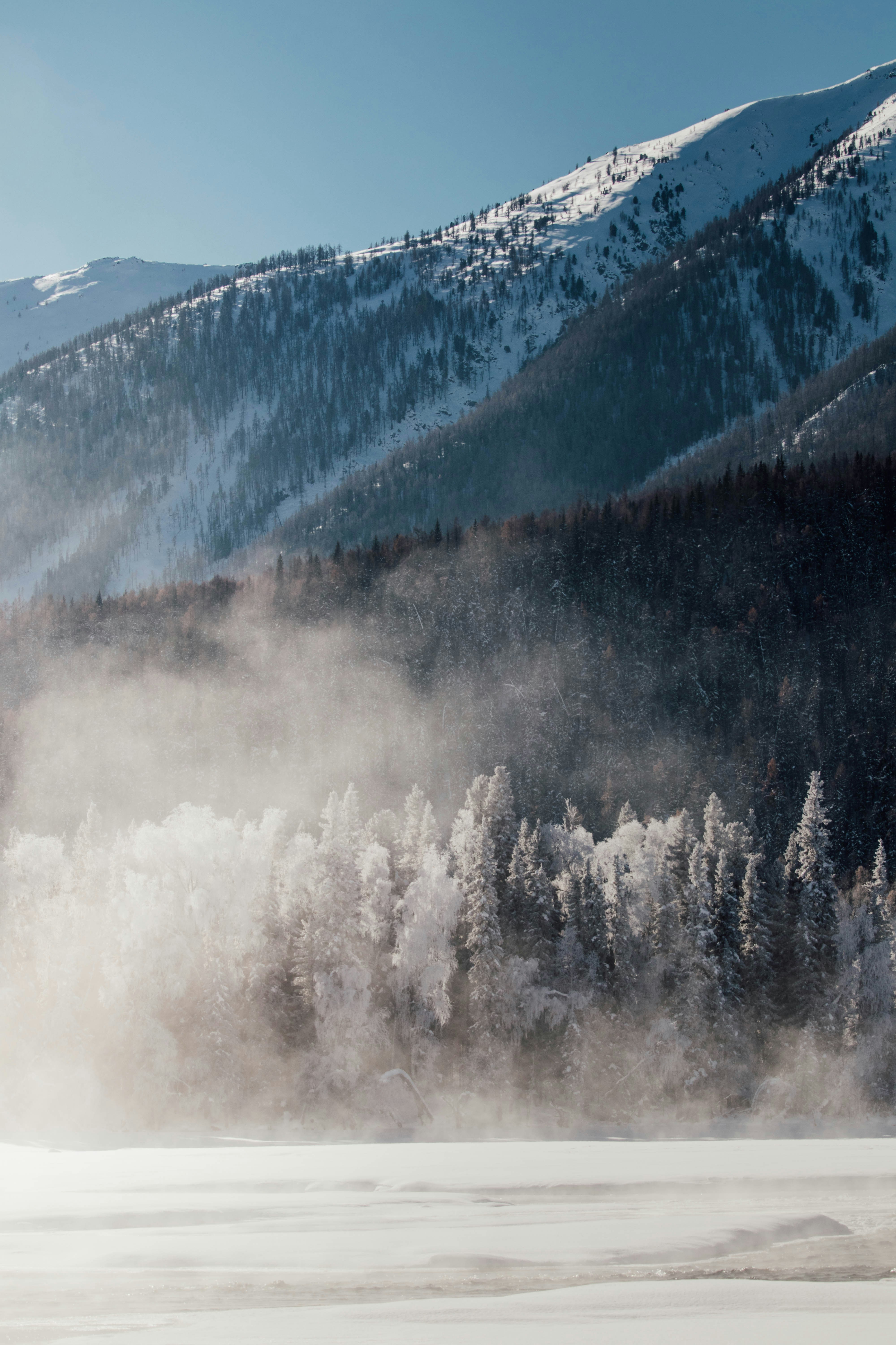 Misty winter forest with snow-covered mountains in background.