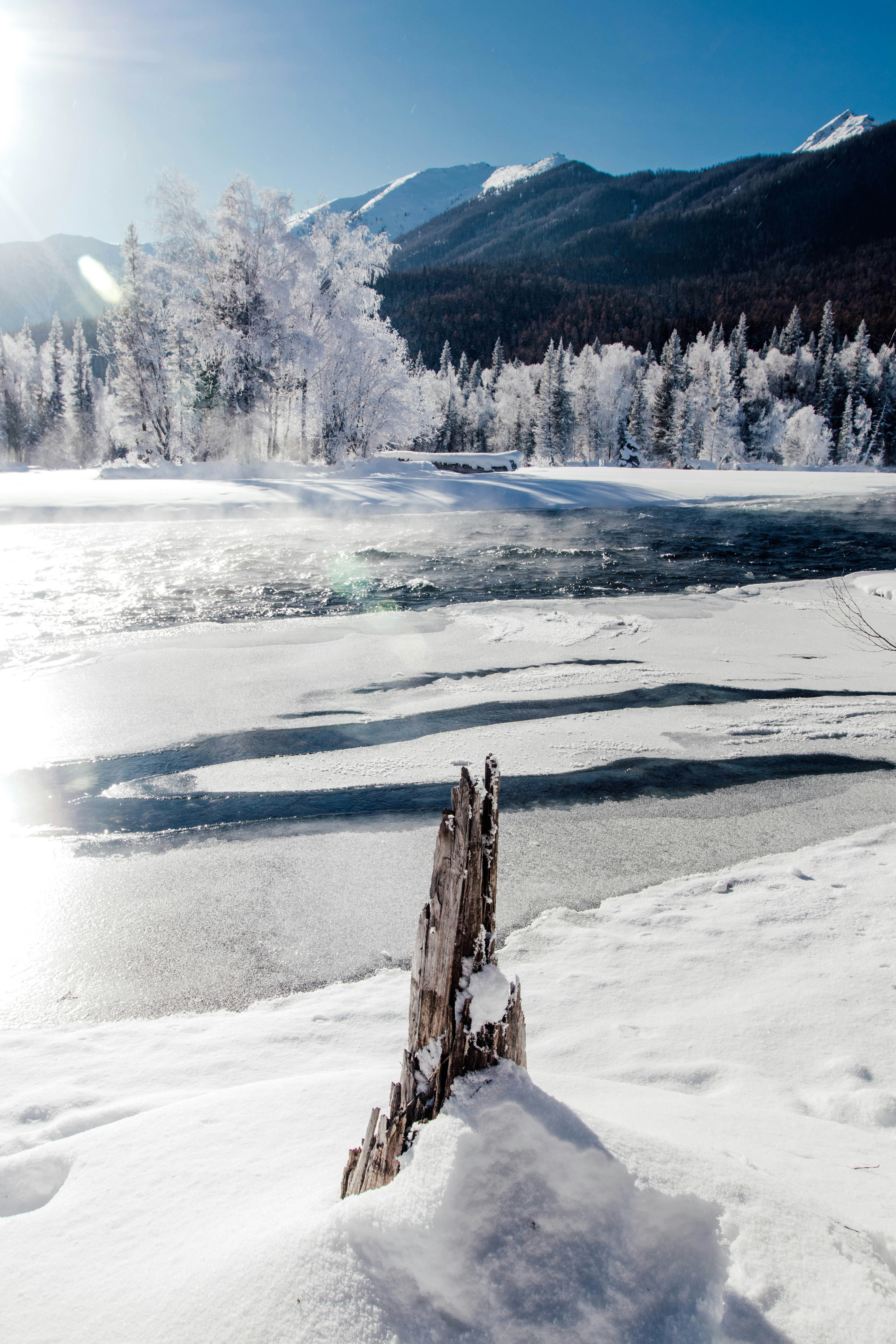 Winter landscape with snow-covered trees and mountains