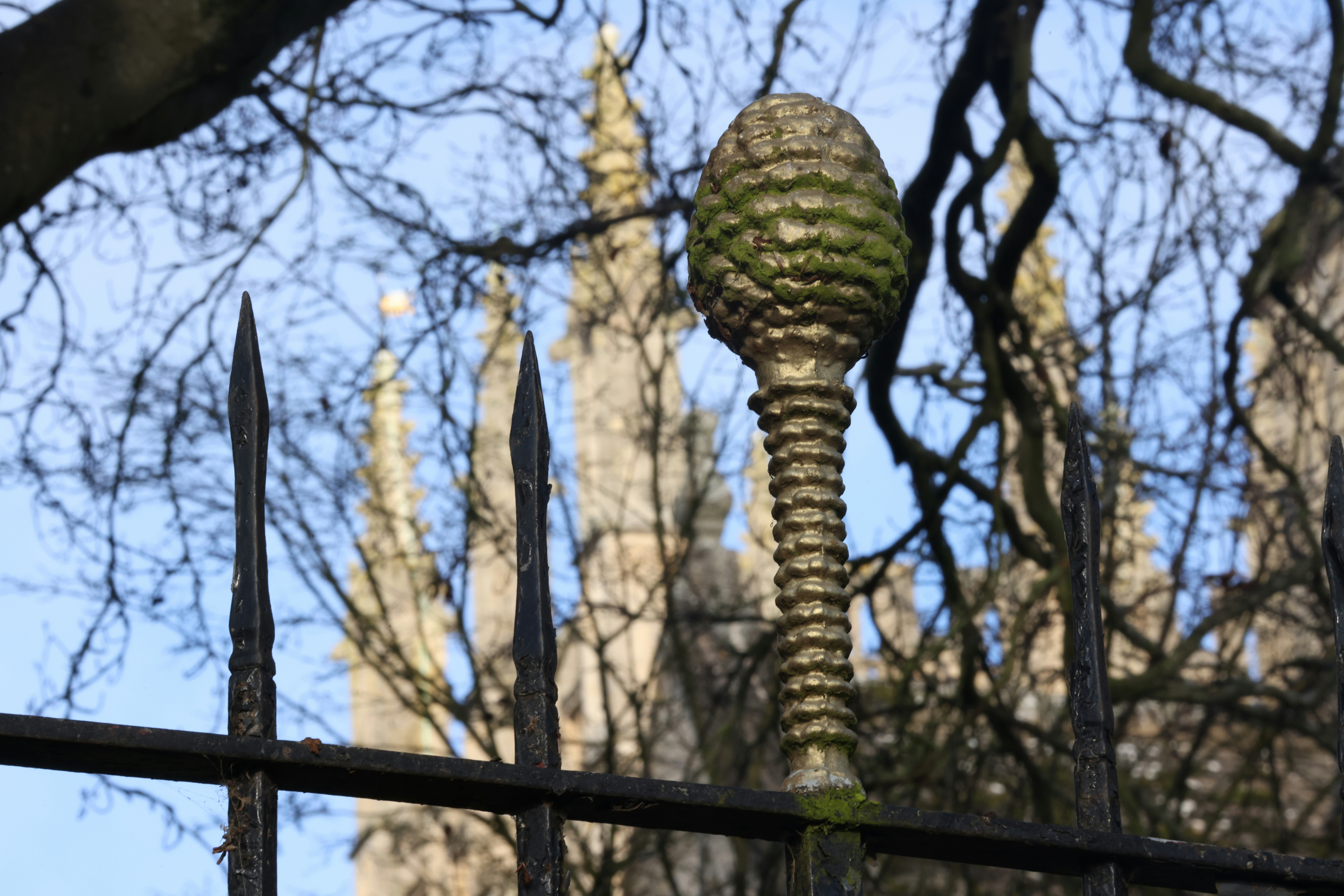 Ornate finial on a black metal fence with building spires.