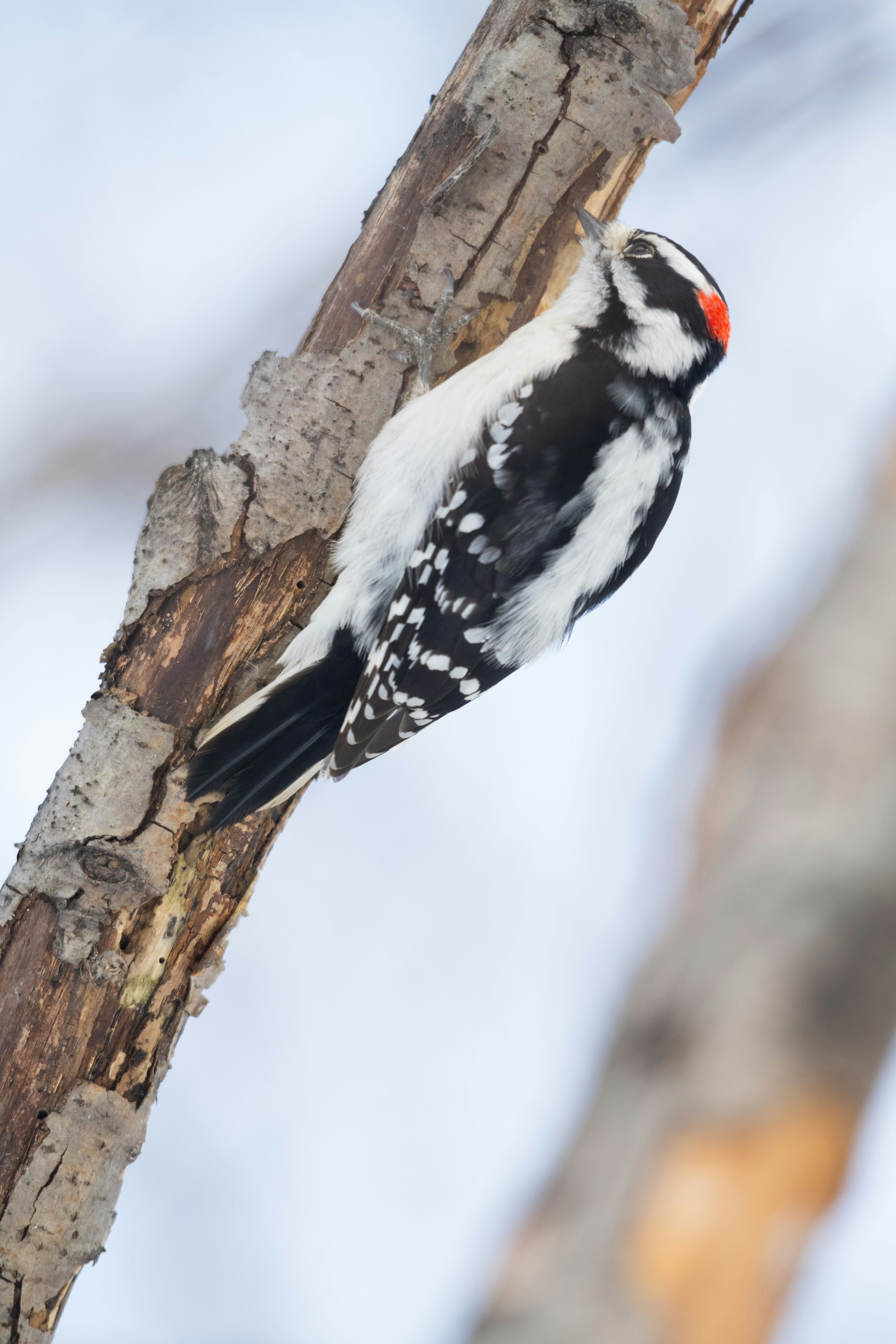 Photo by justynazielinska654