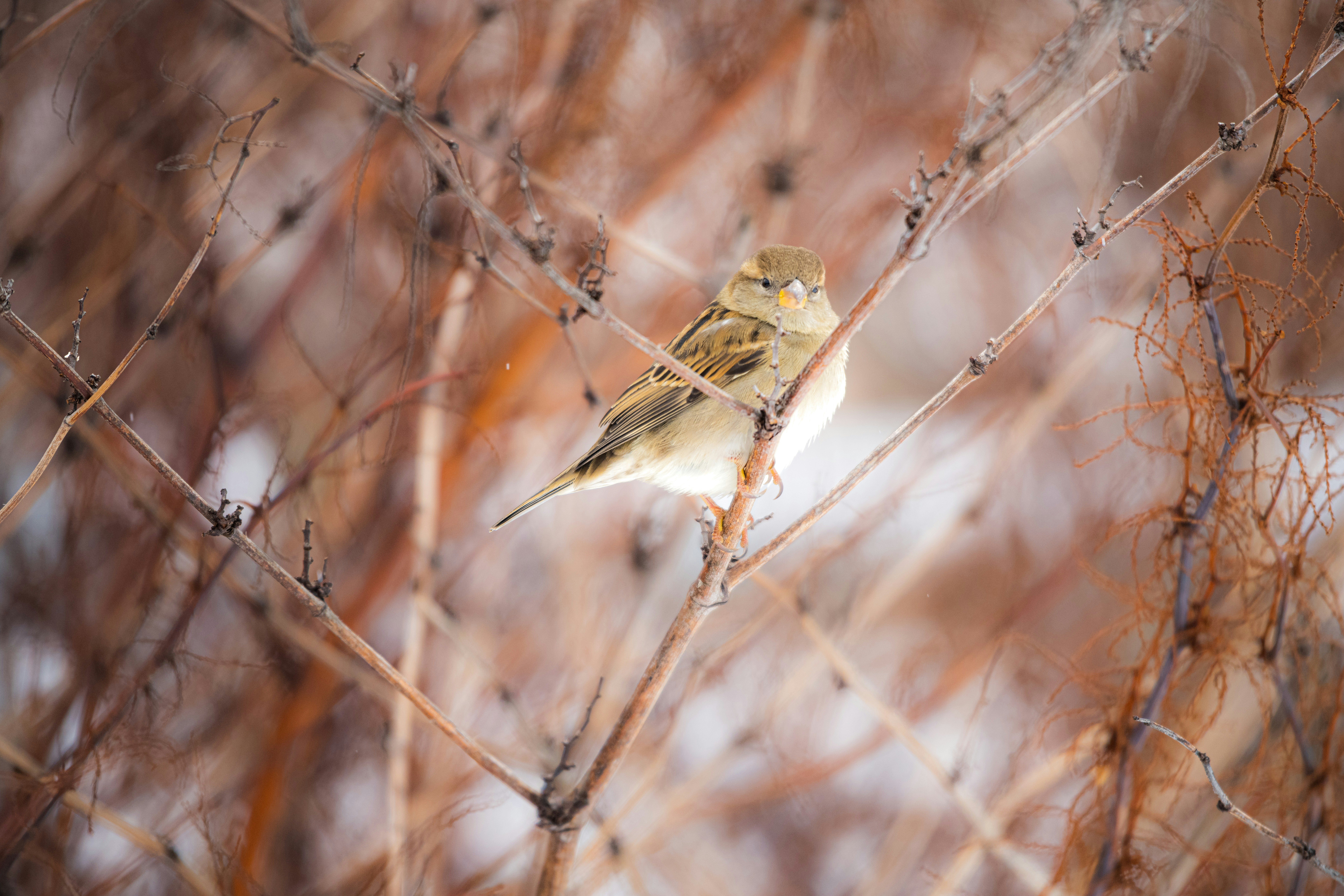 Photo by justynazielinska654