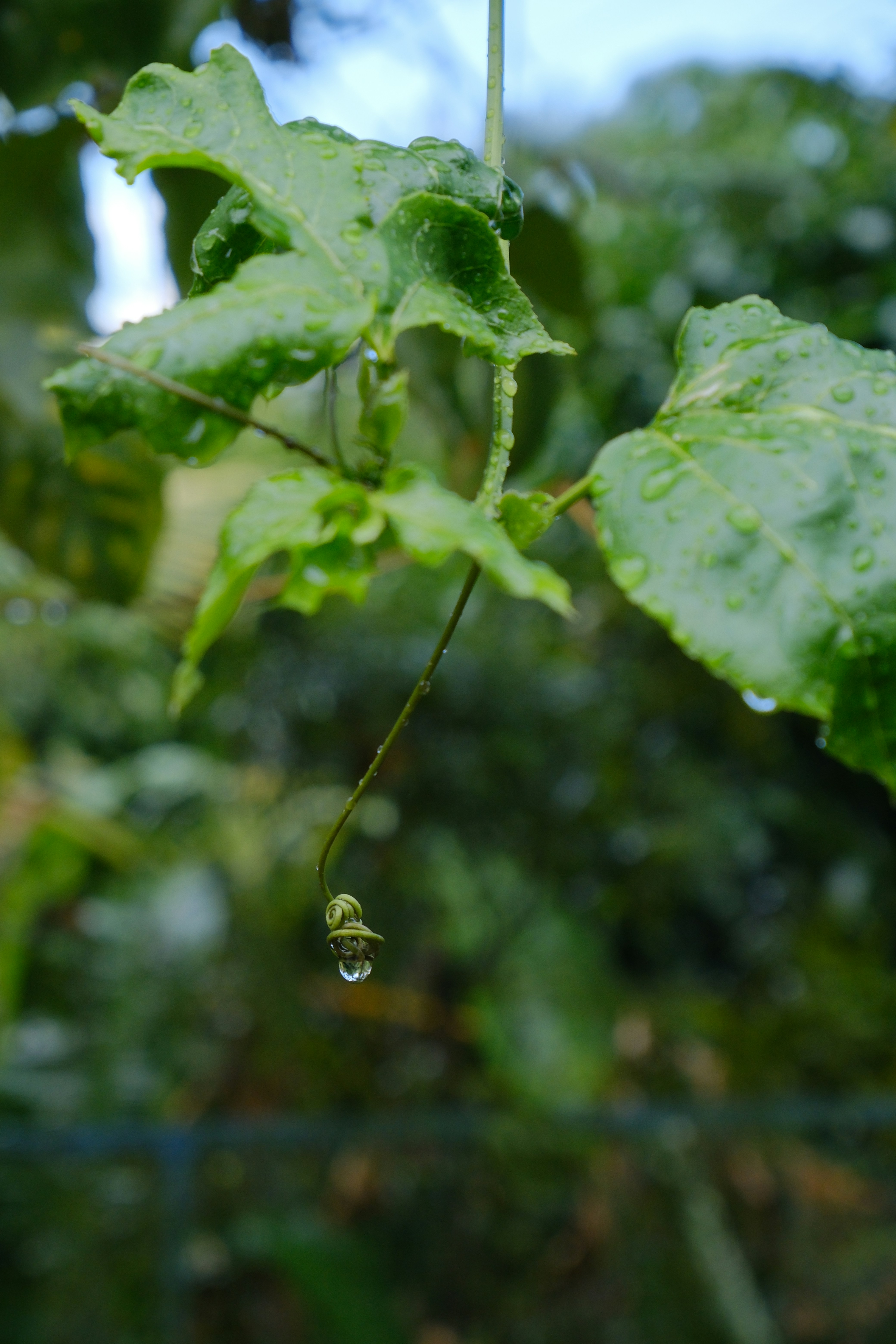 Photo by allensamthomas