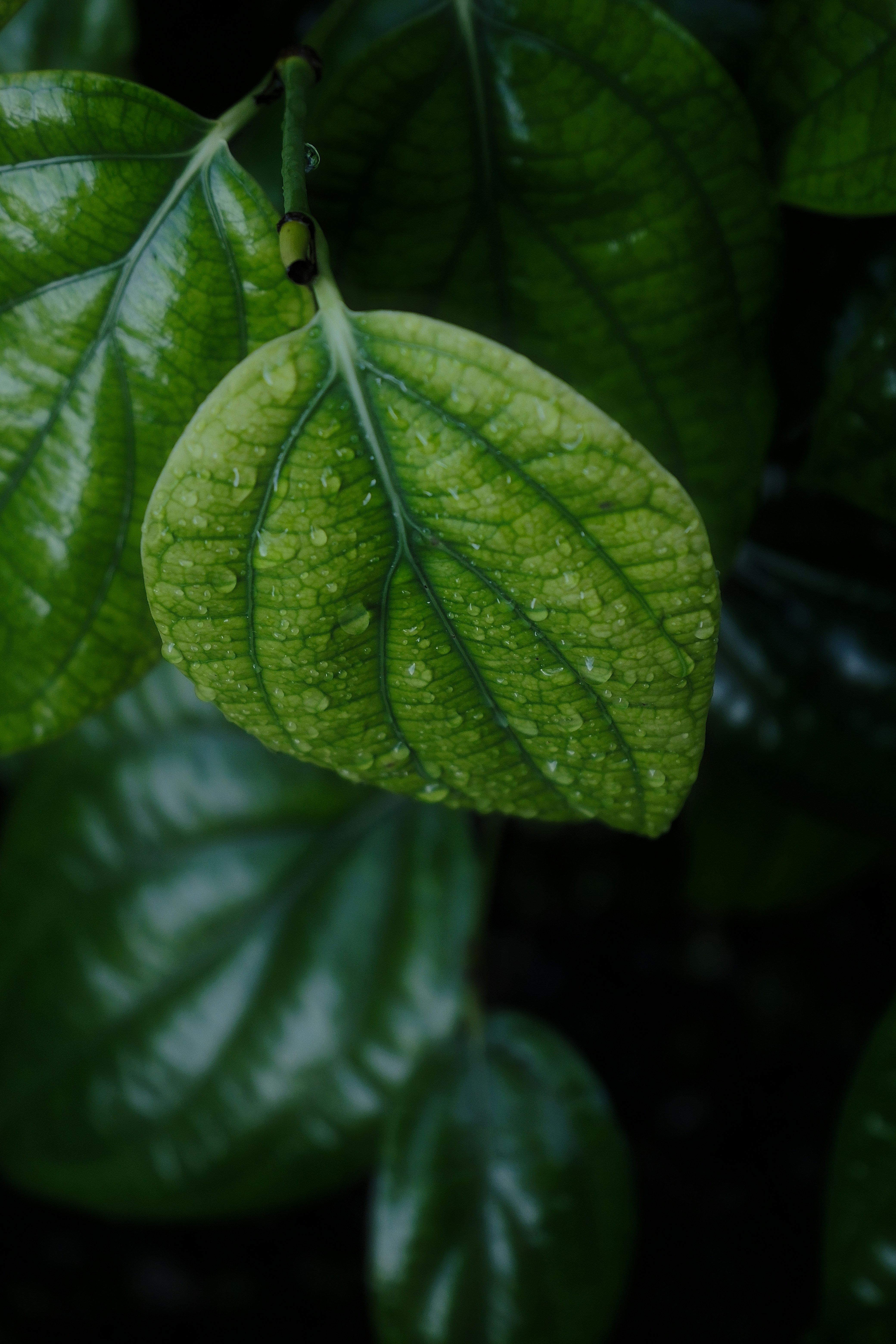 Photo by allensamthomas