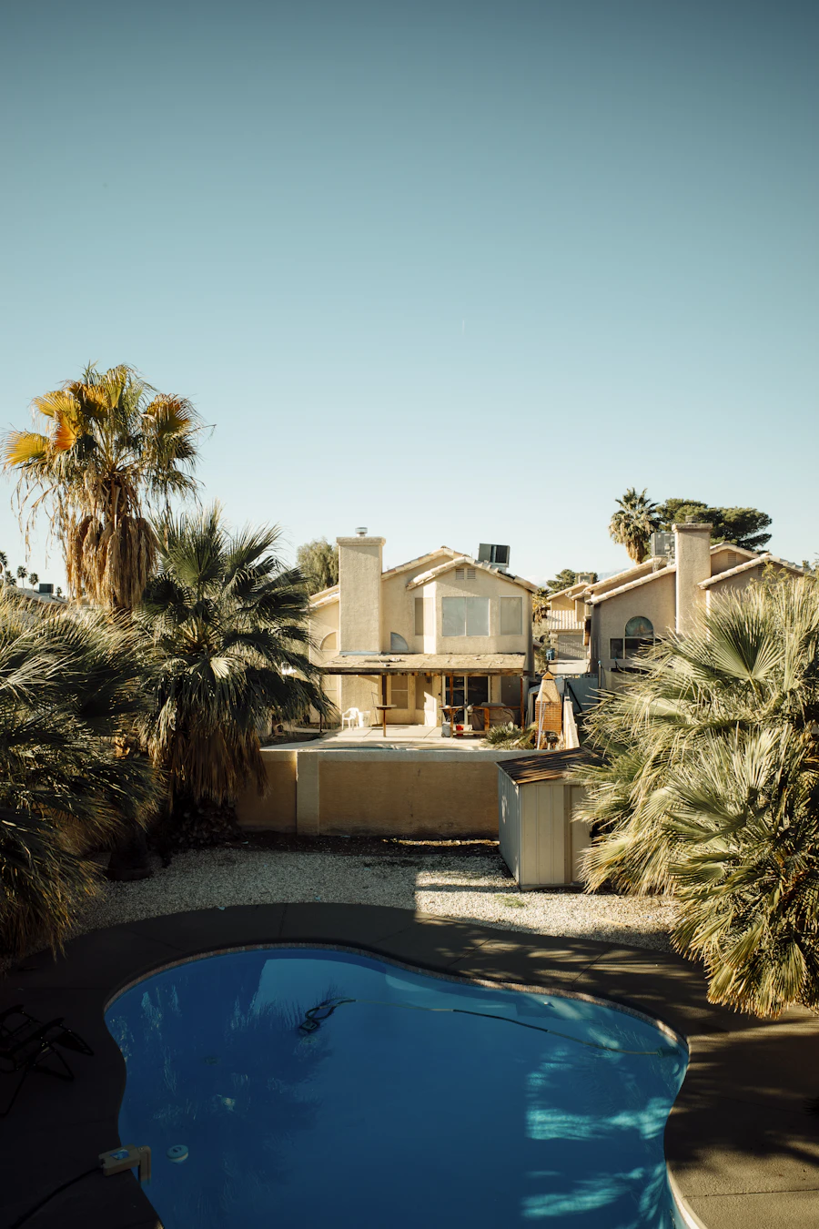 Sunny desert neighborhood with palms and a swimming pool