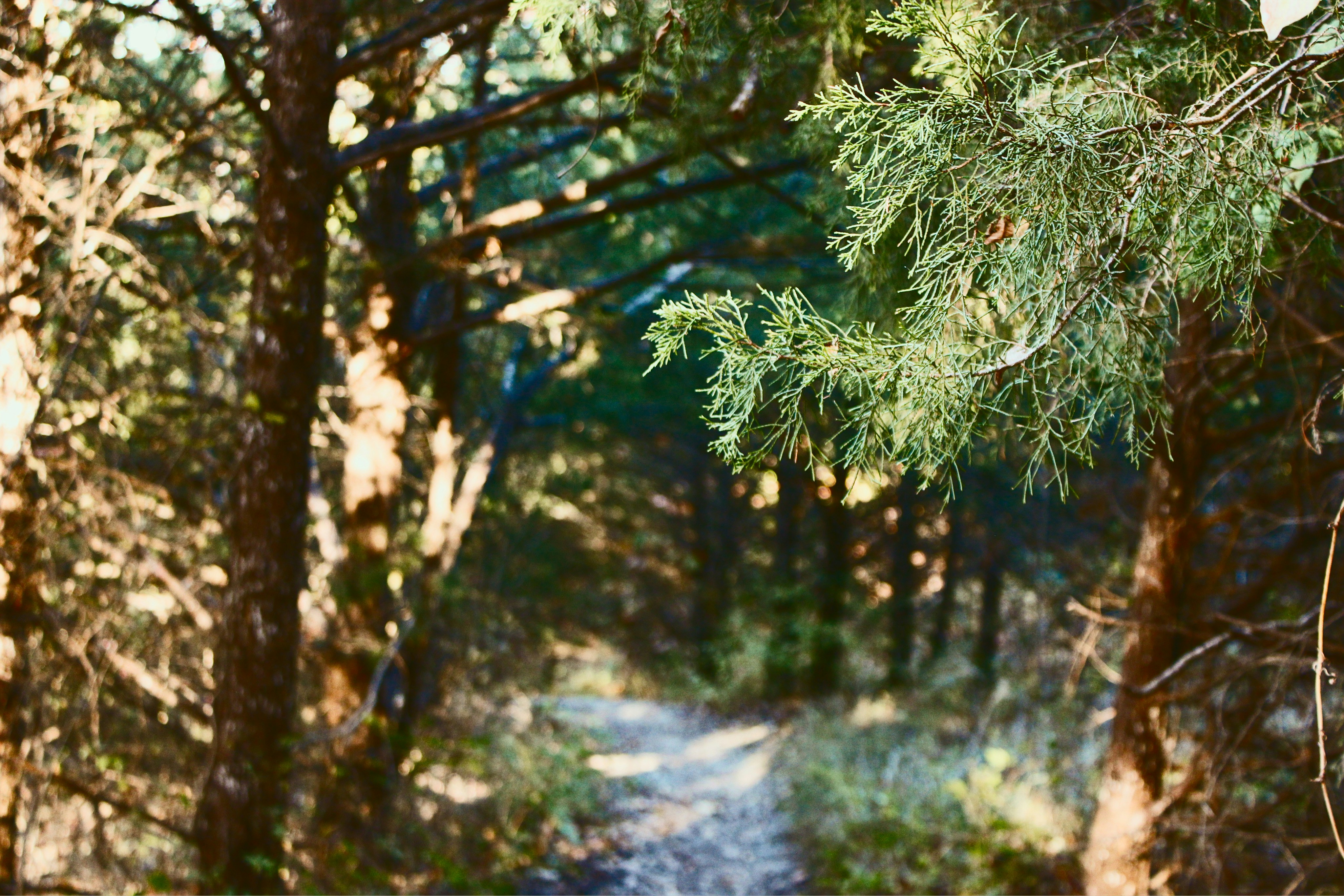 Photo by vivalavida_009