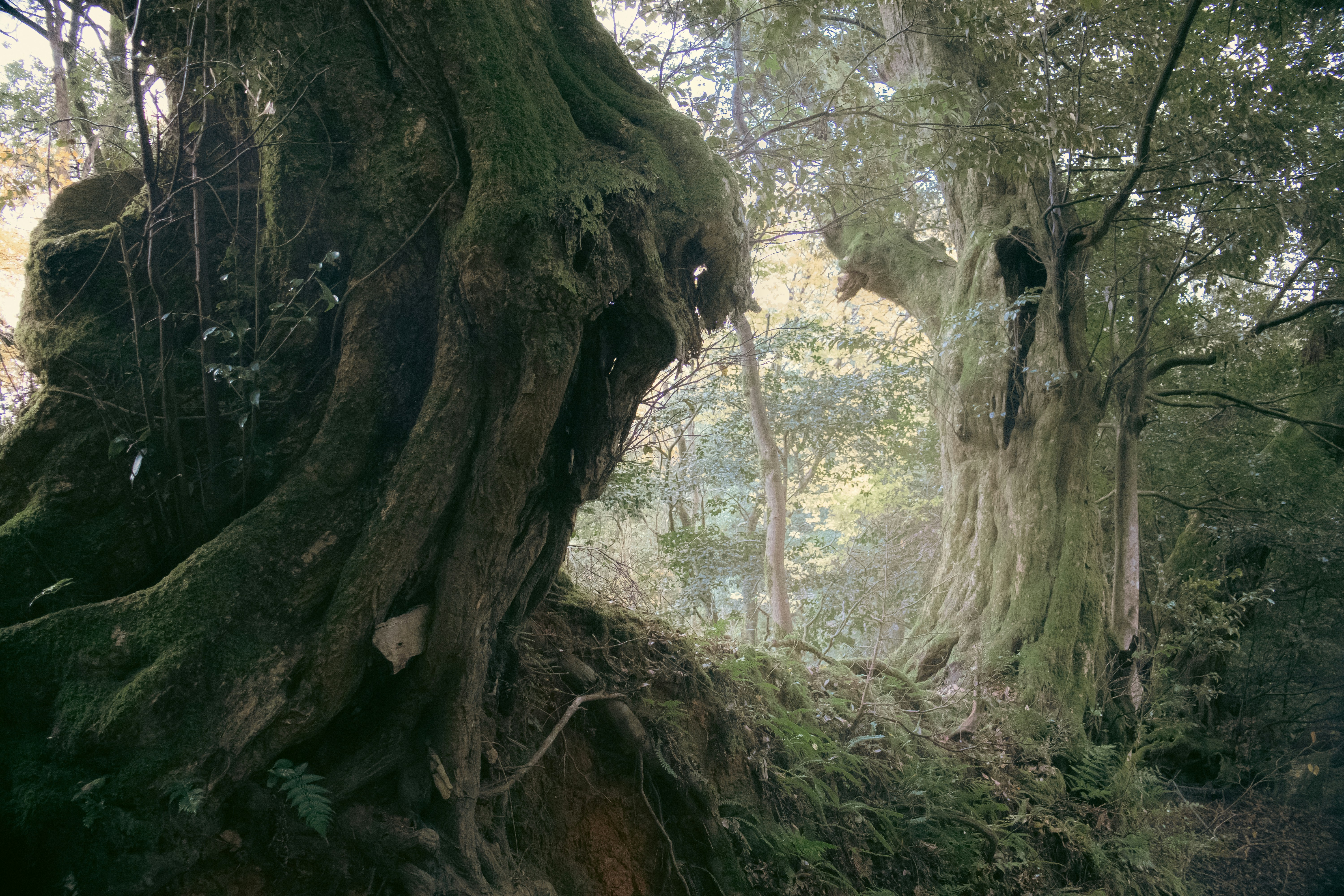 Photo by katekasiutich