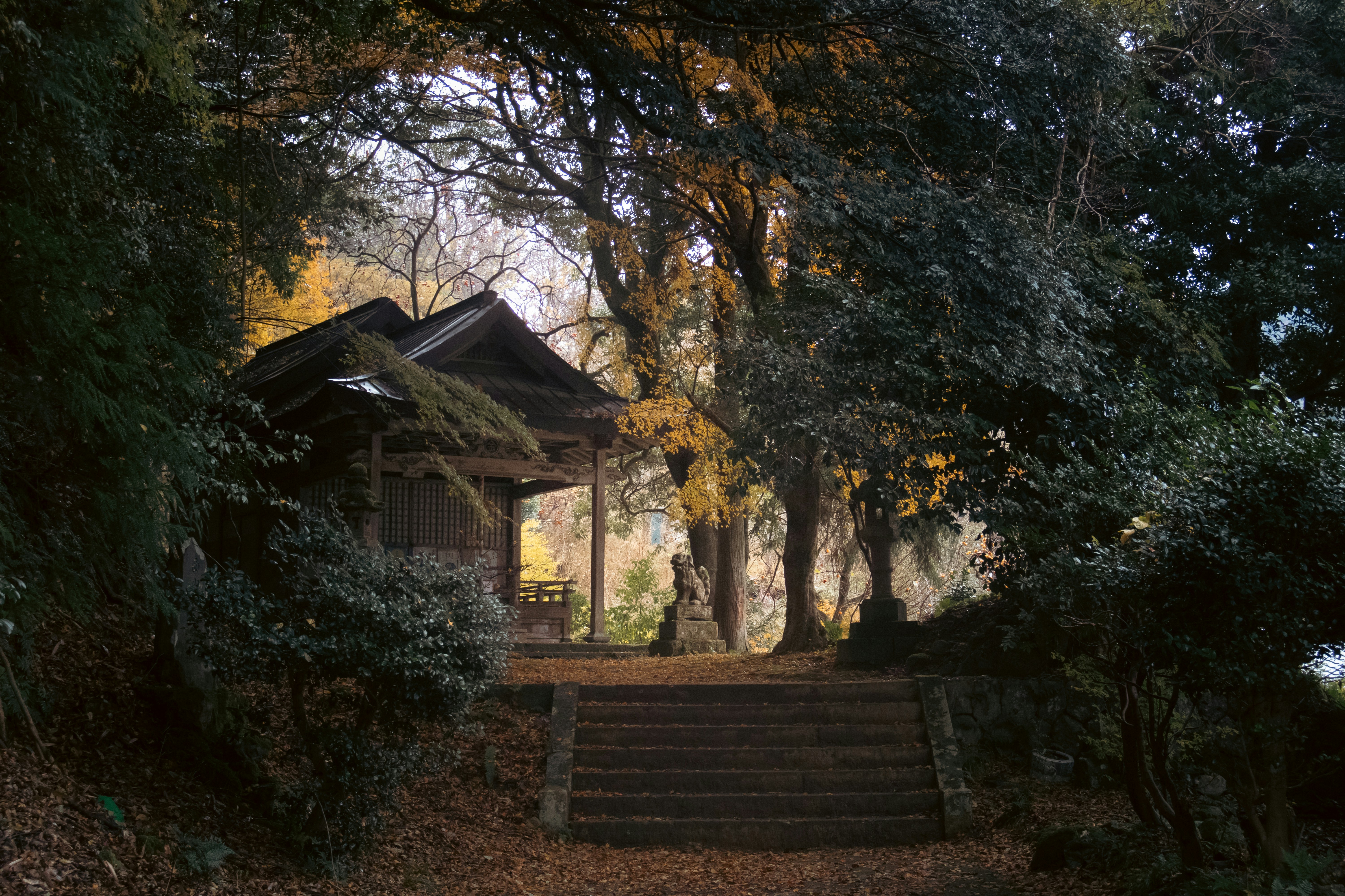 Photo by katekasiutich