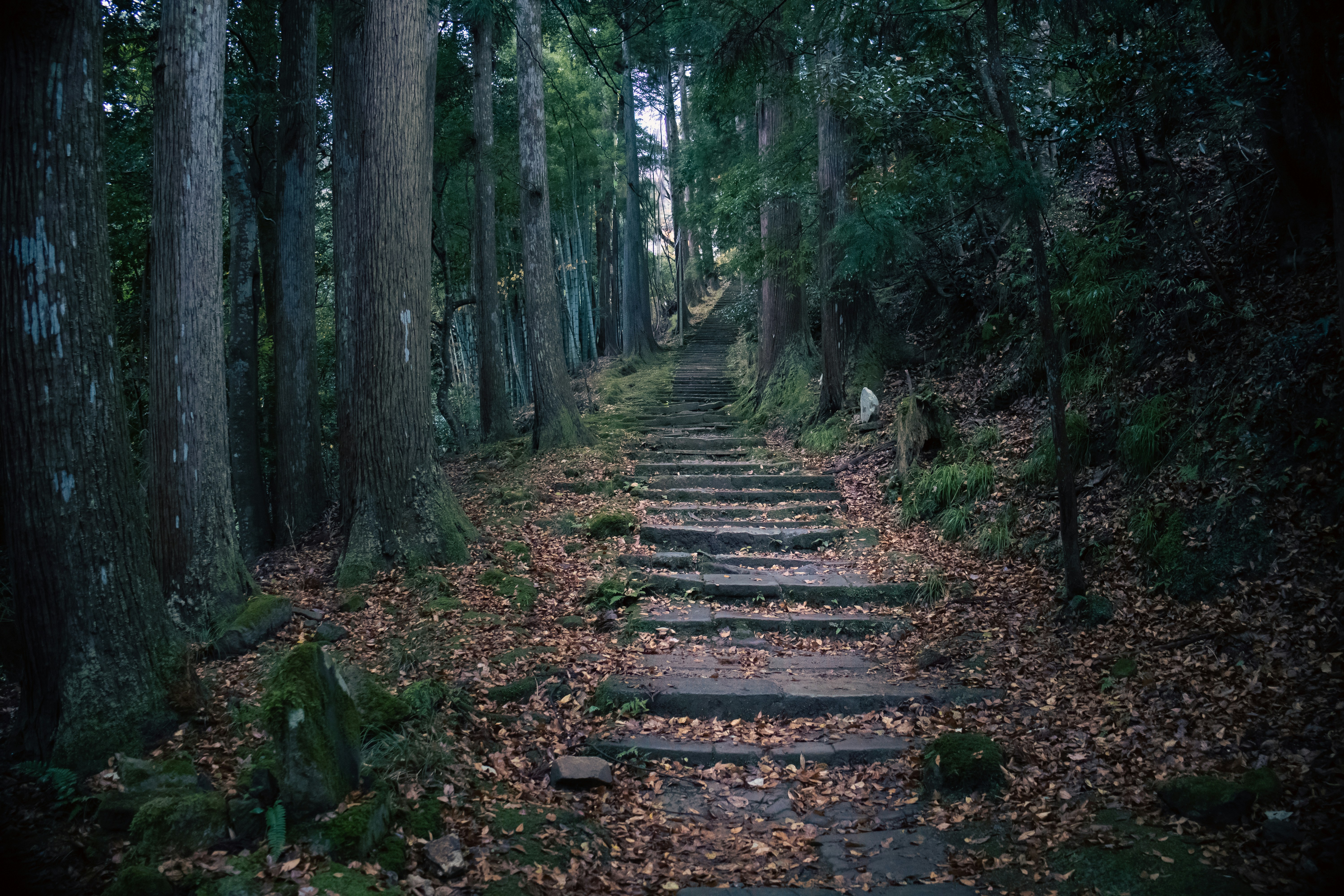 Photo by katekasiutich