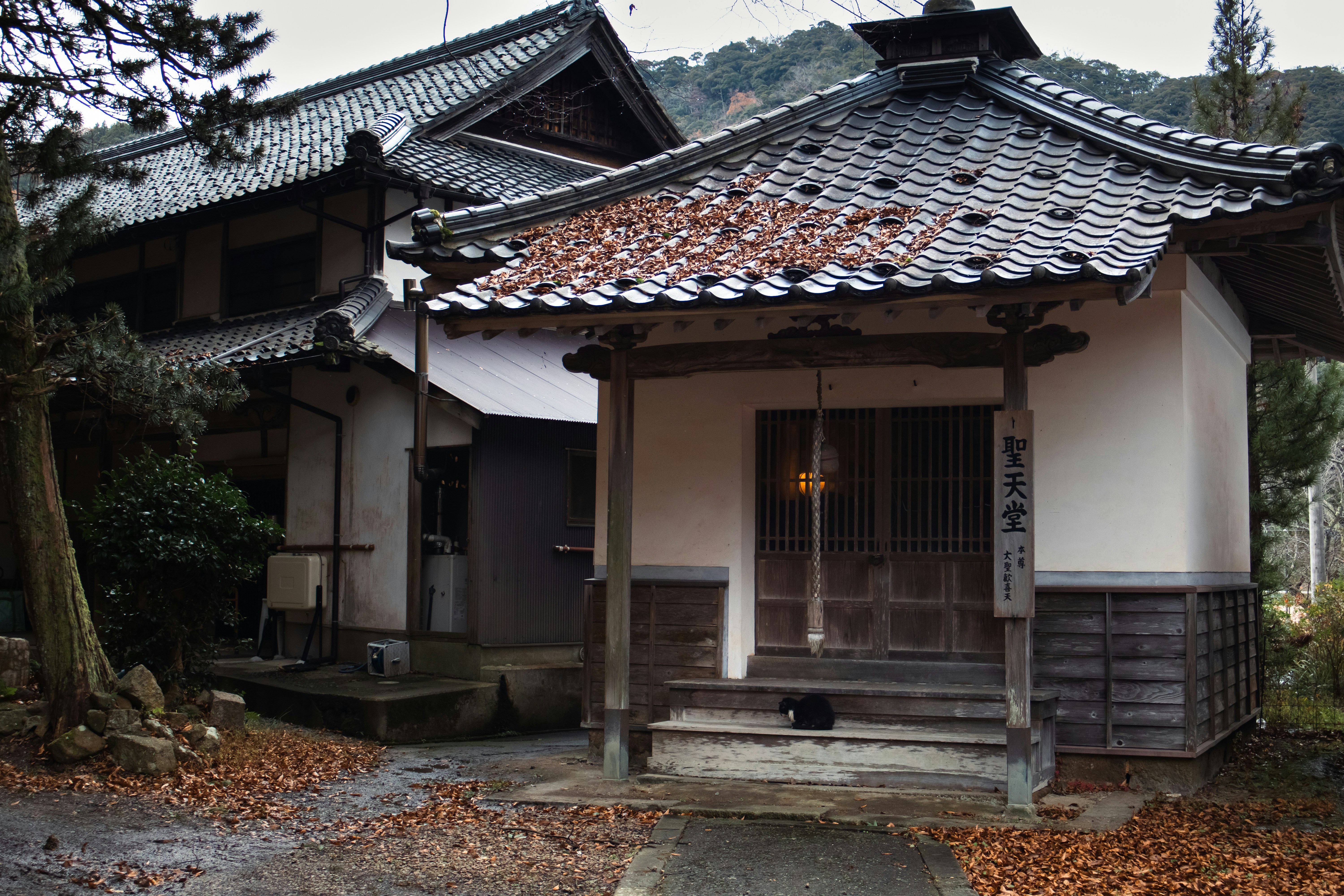 Photo by katekasiutich