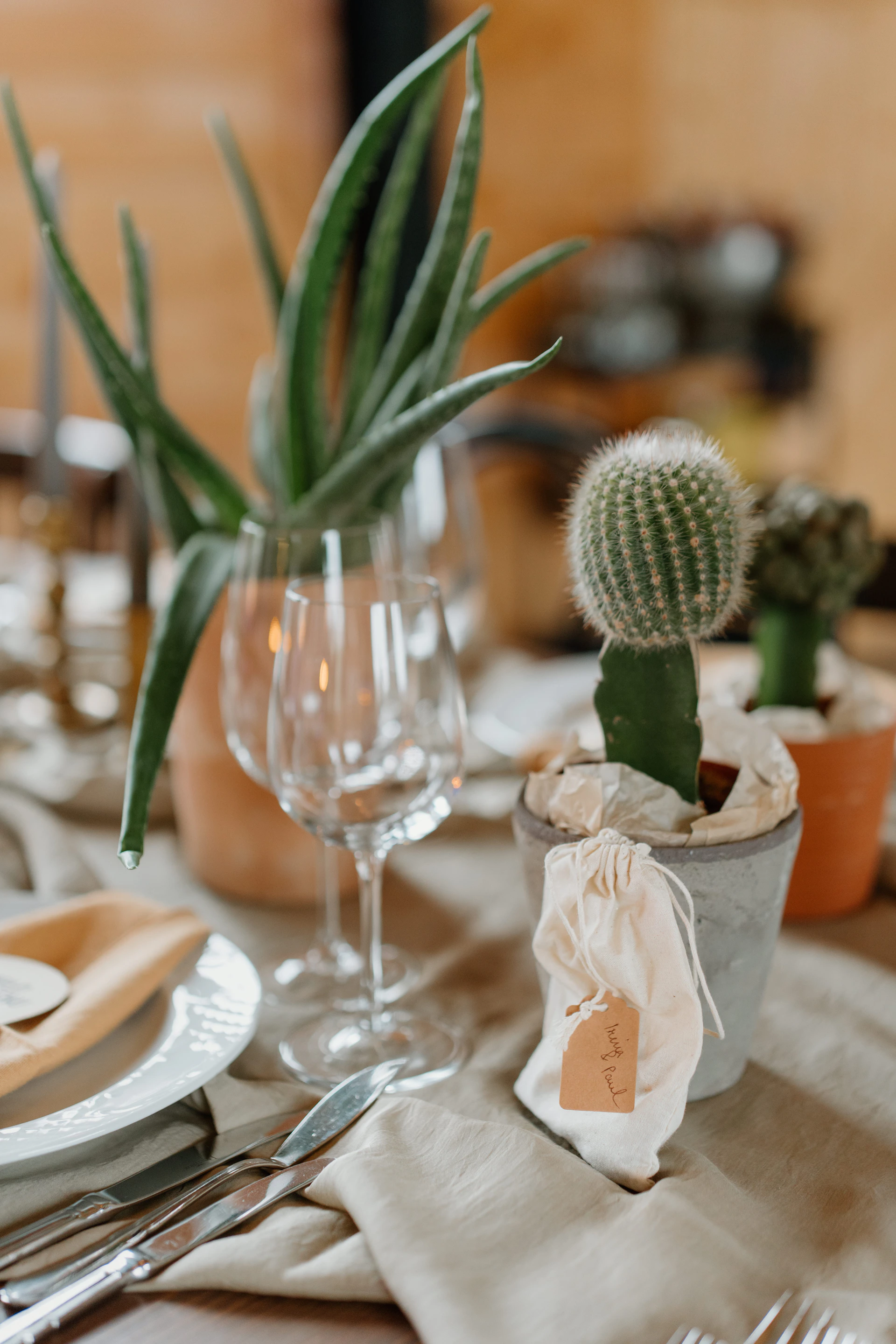 Table setting with potted cacti and aloe vera plants.