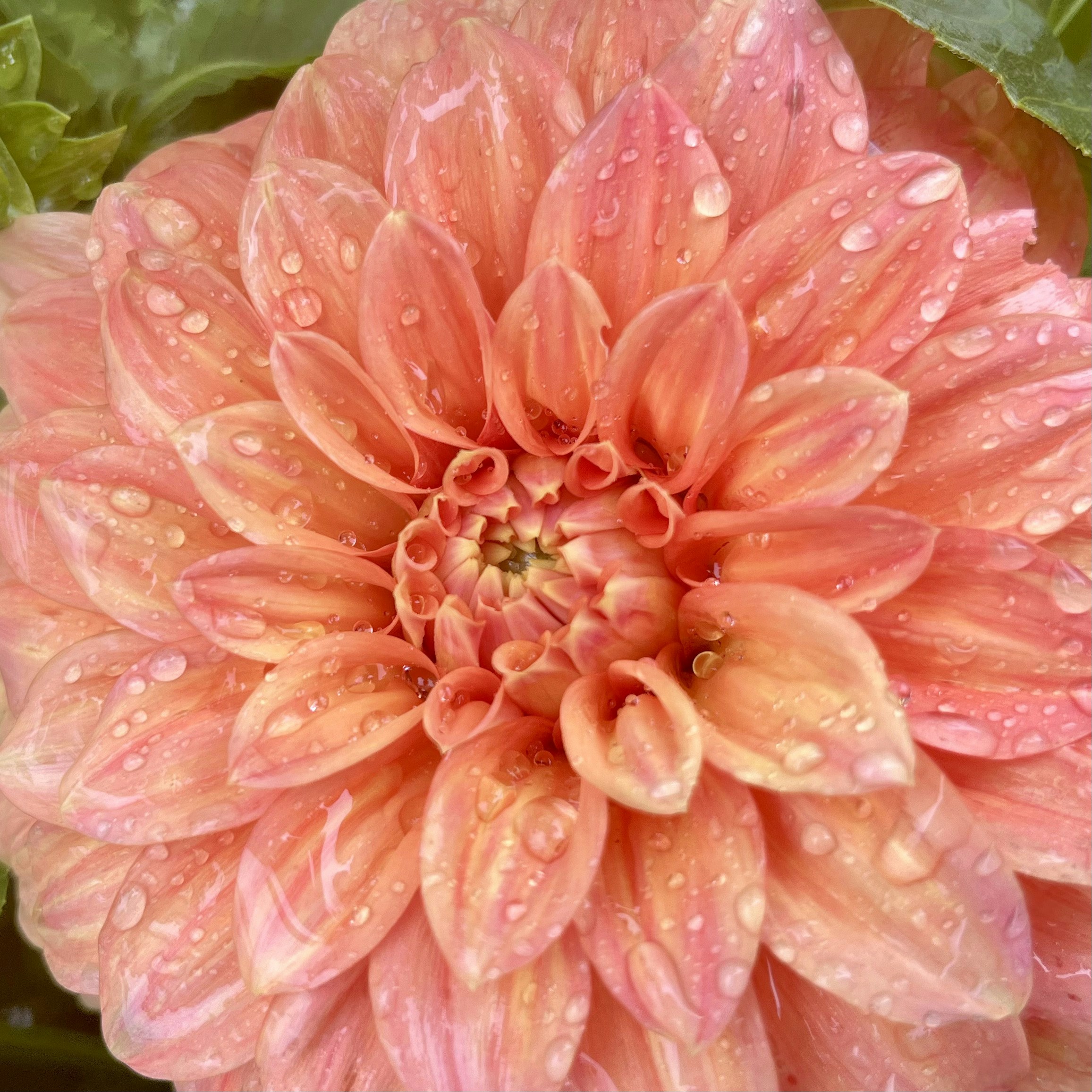 Photo by helen_zahrai