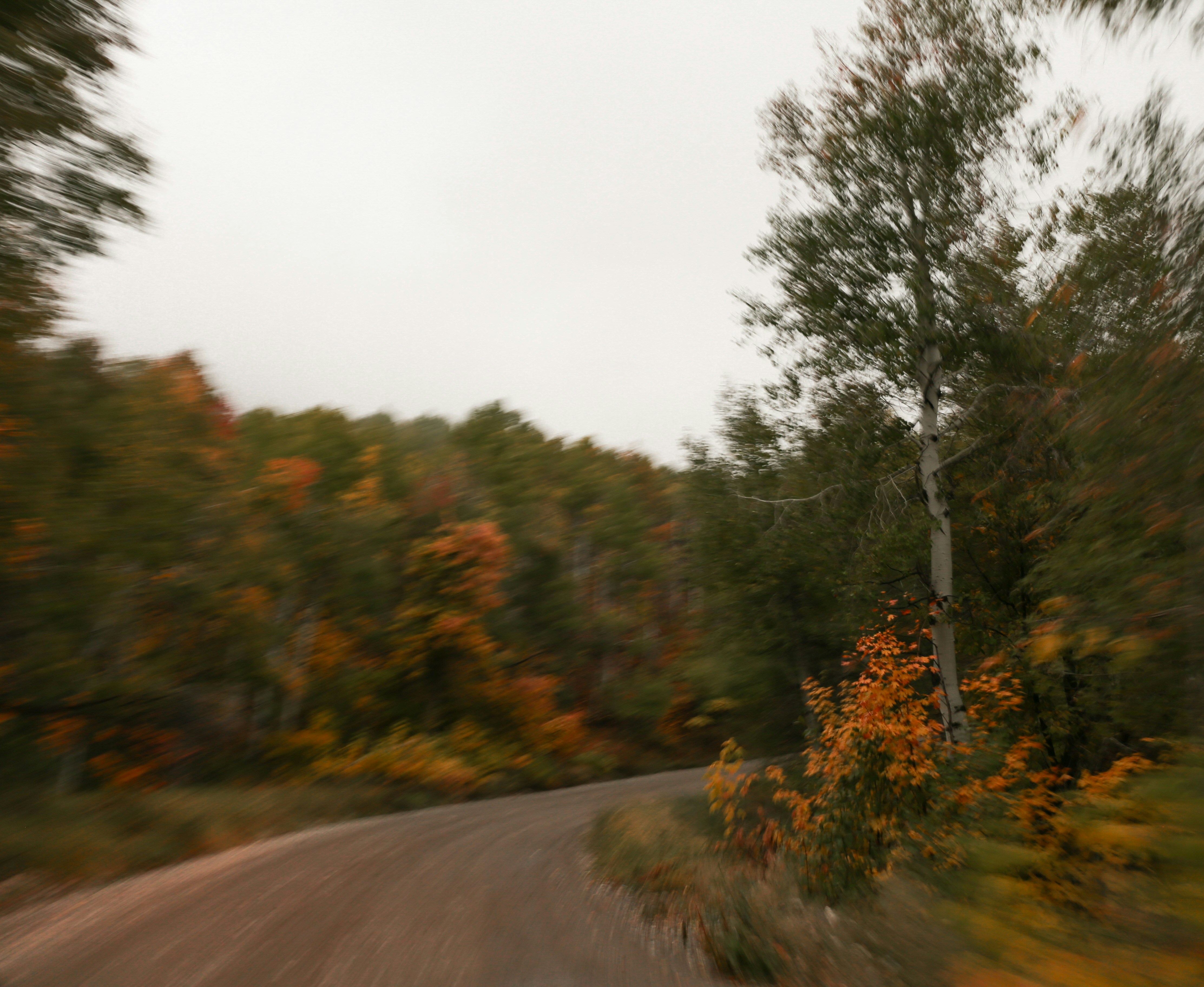 A blur of trees and a dirt road in autumn.