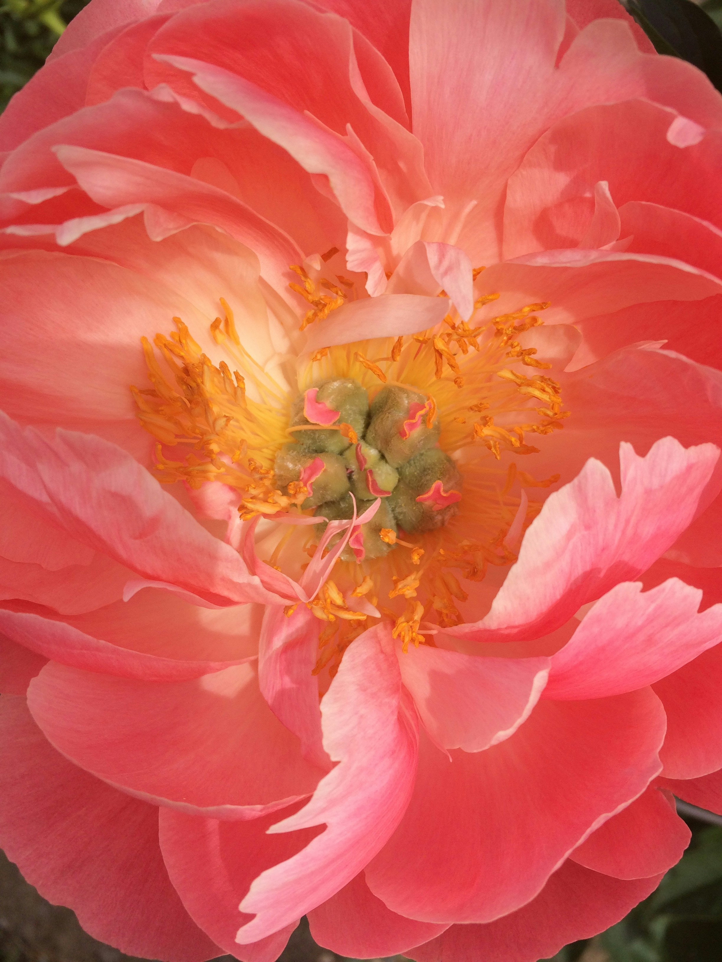 Photo by rlocreative