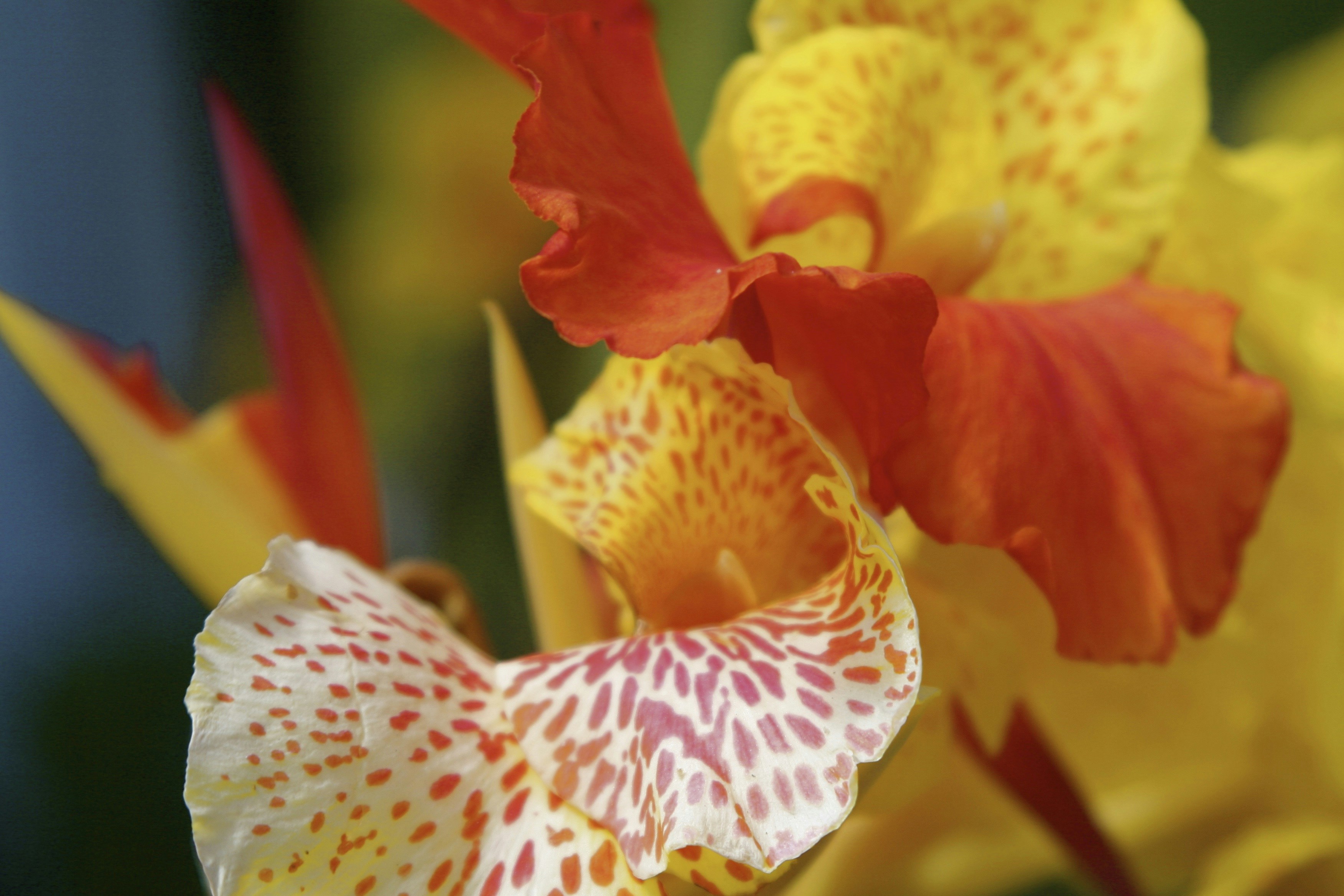 Photo by rlocreative