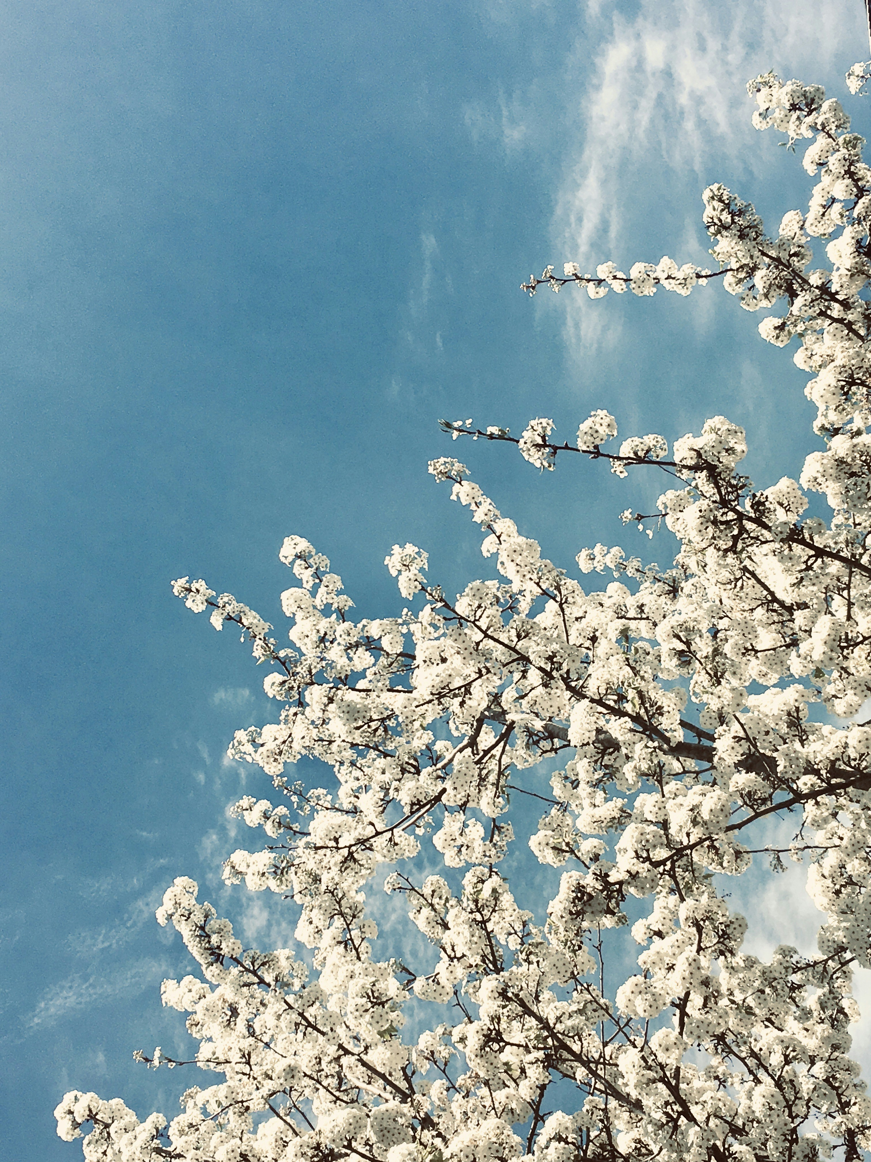 Photo by rlocreative