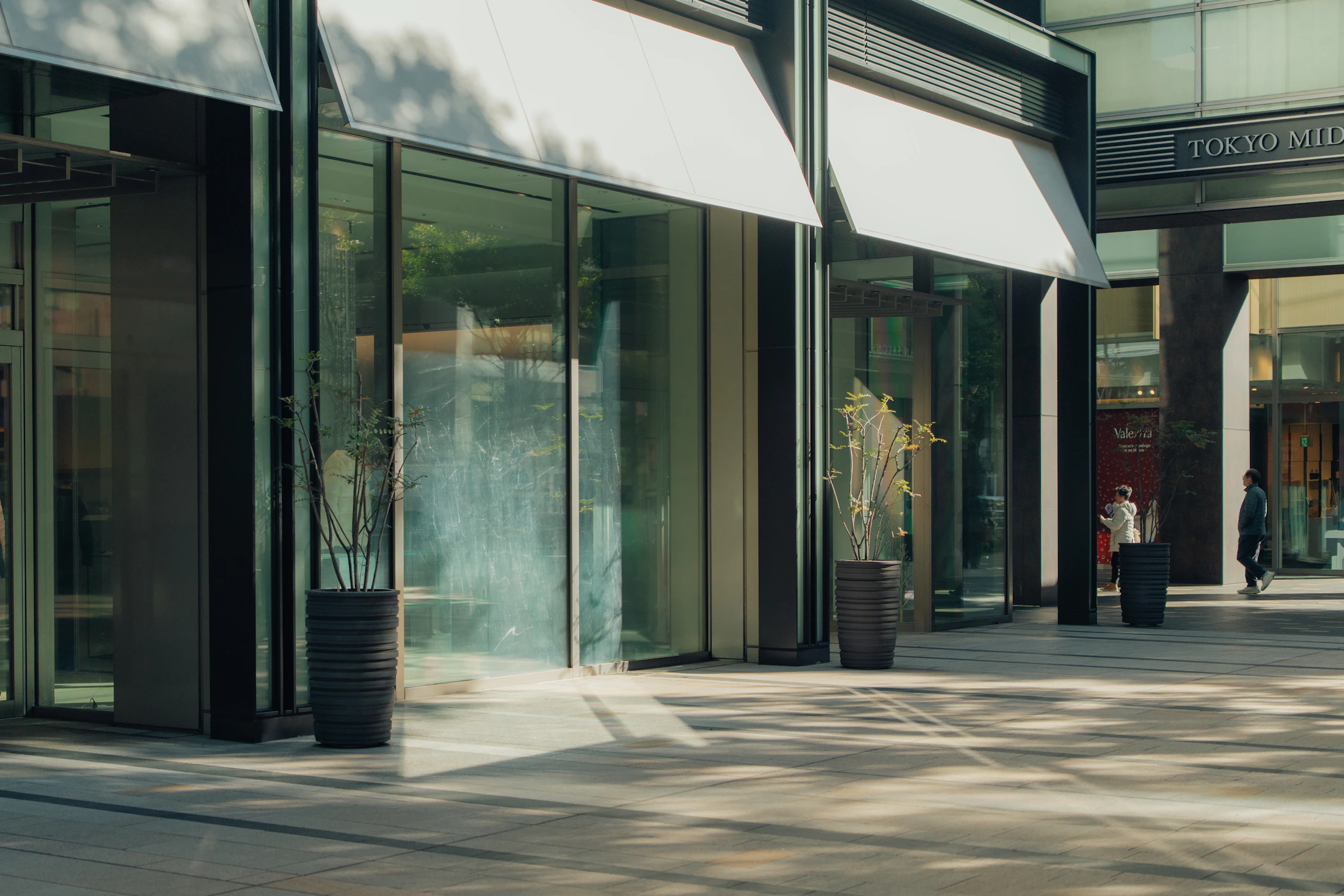 Modern commercial storefront with expansive glass panels and glass entrance doors