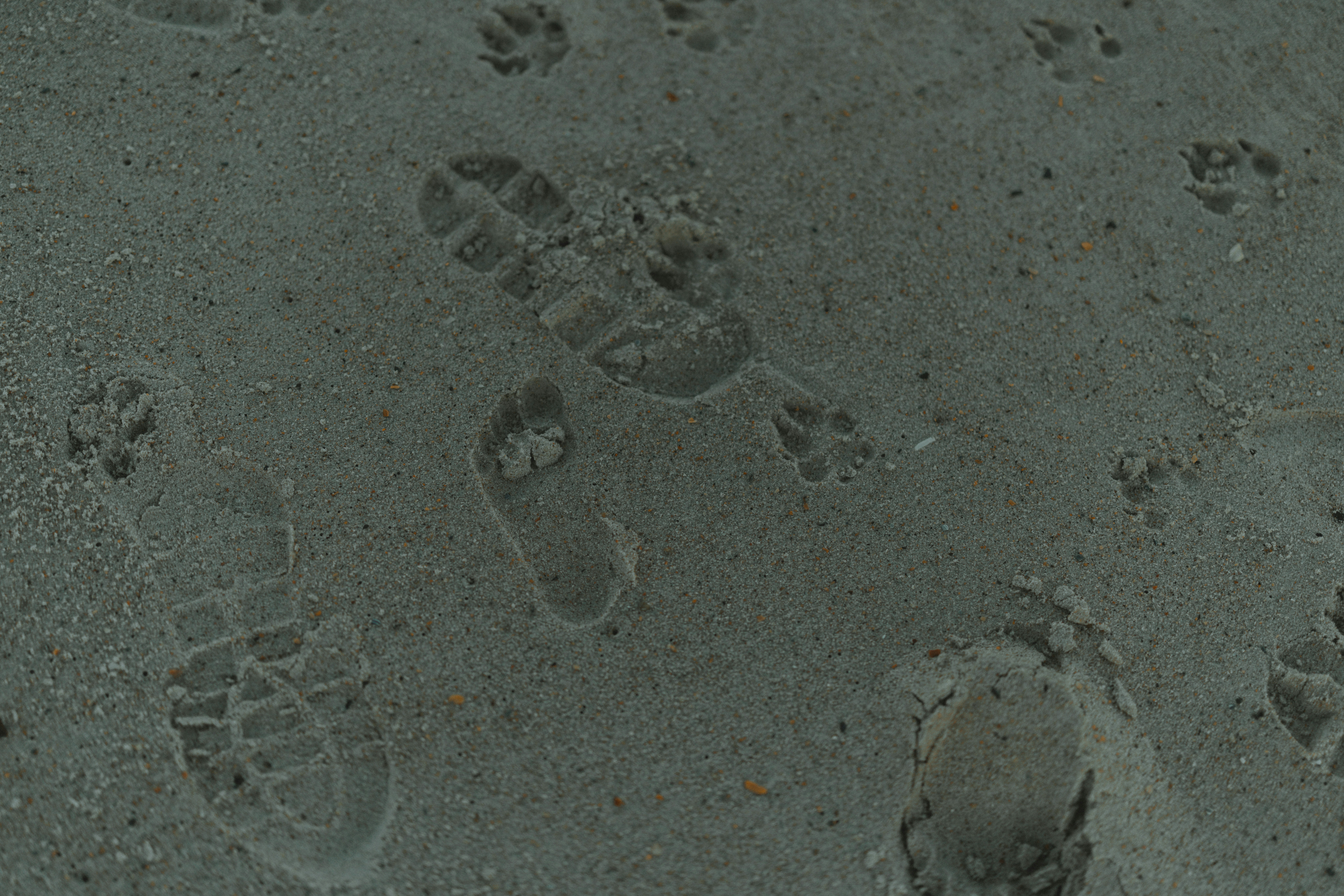 Photo by brookebalentine