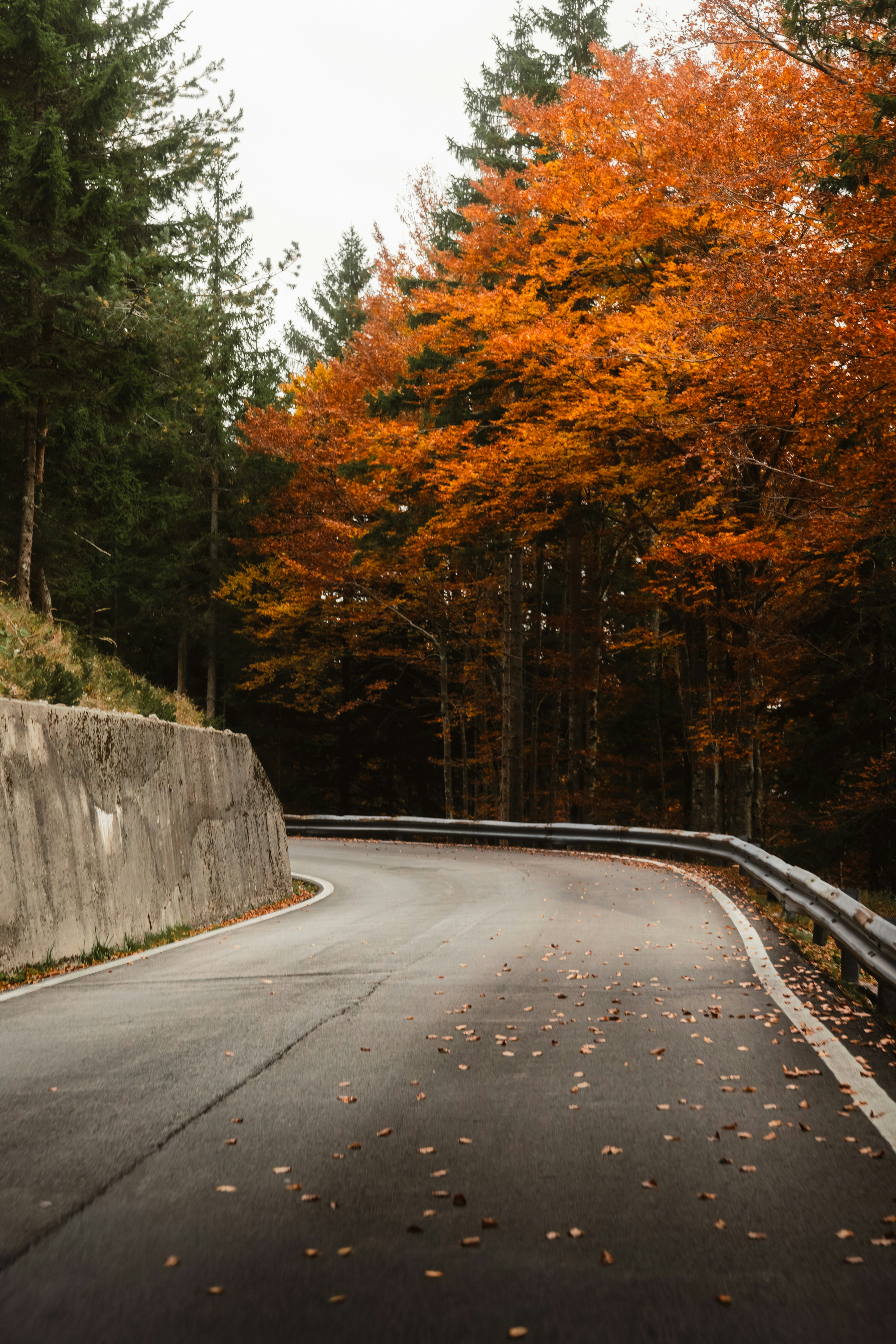 Photo by ahmetyuksek