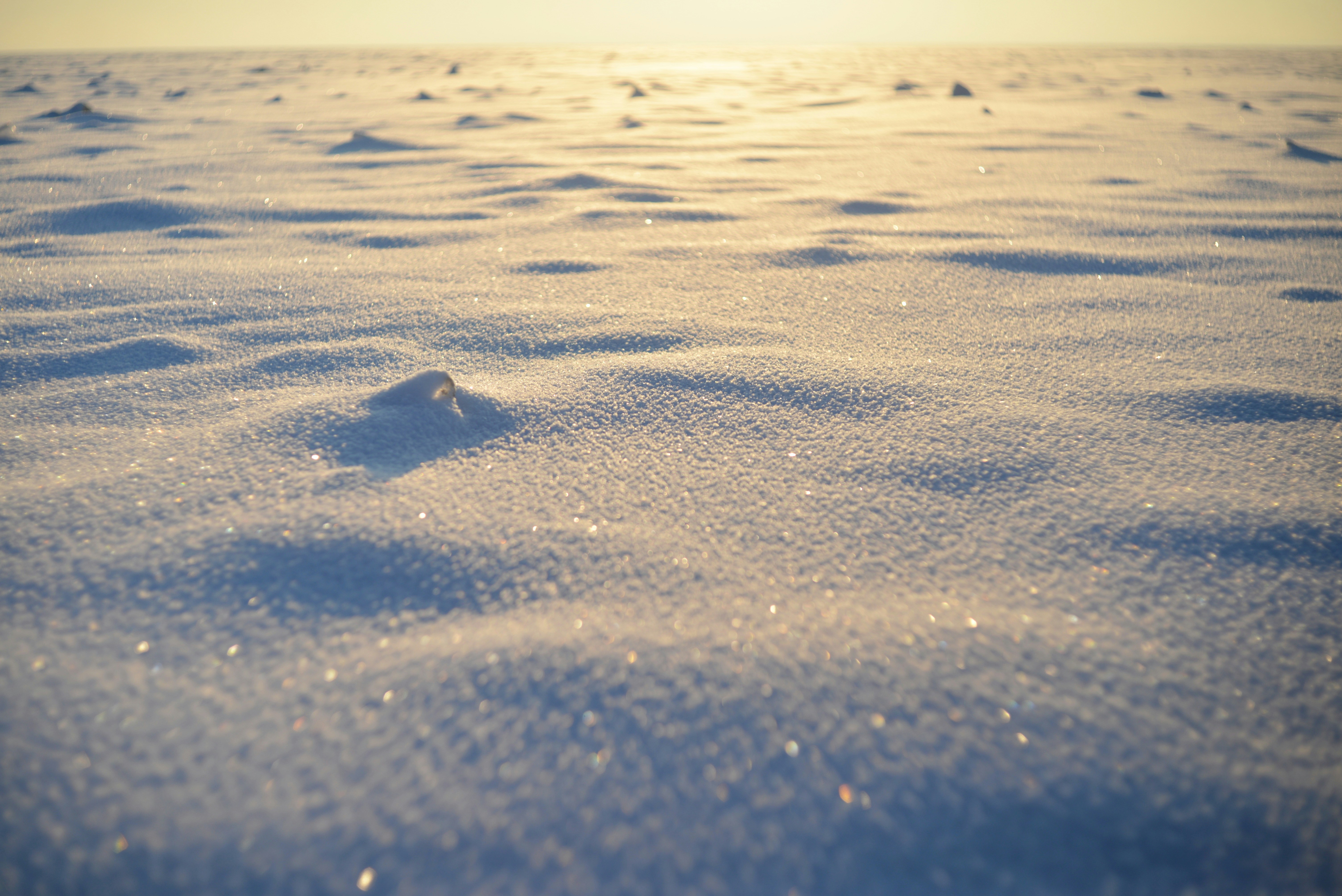 Photo by cherstve_pechivo