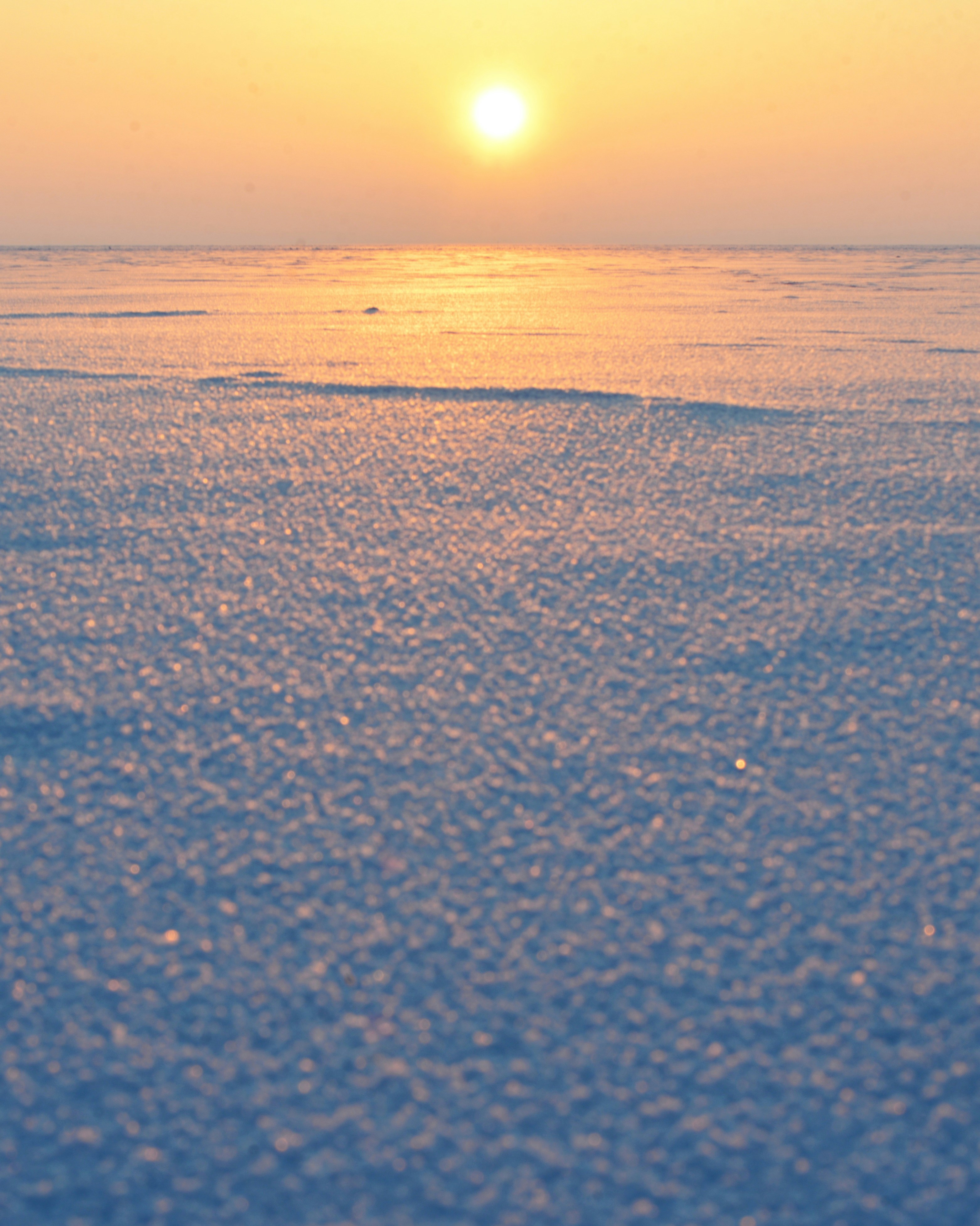 Photo by cherstve_pechivo