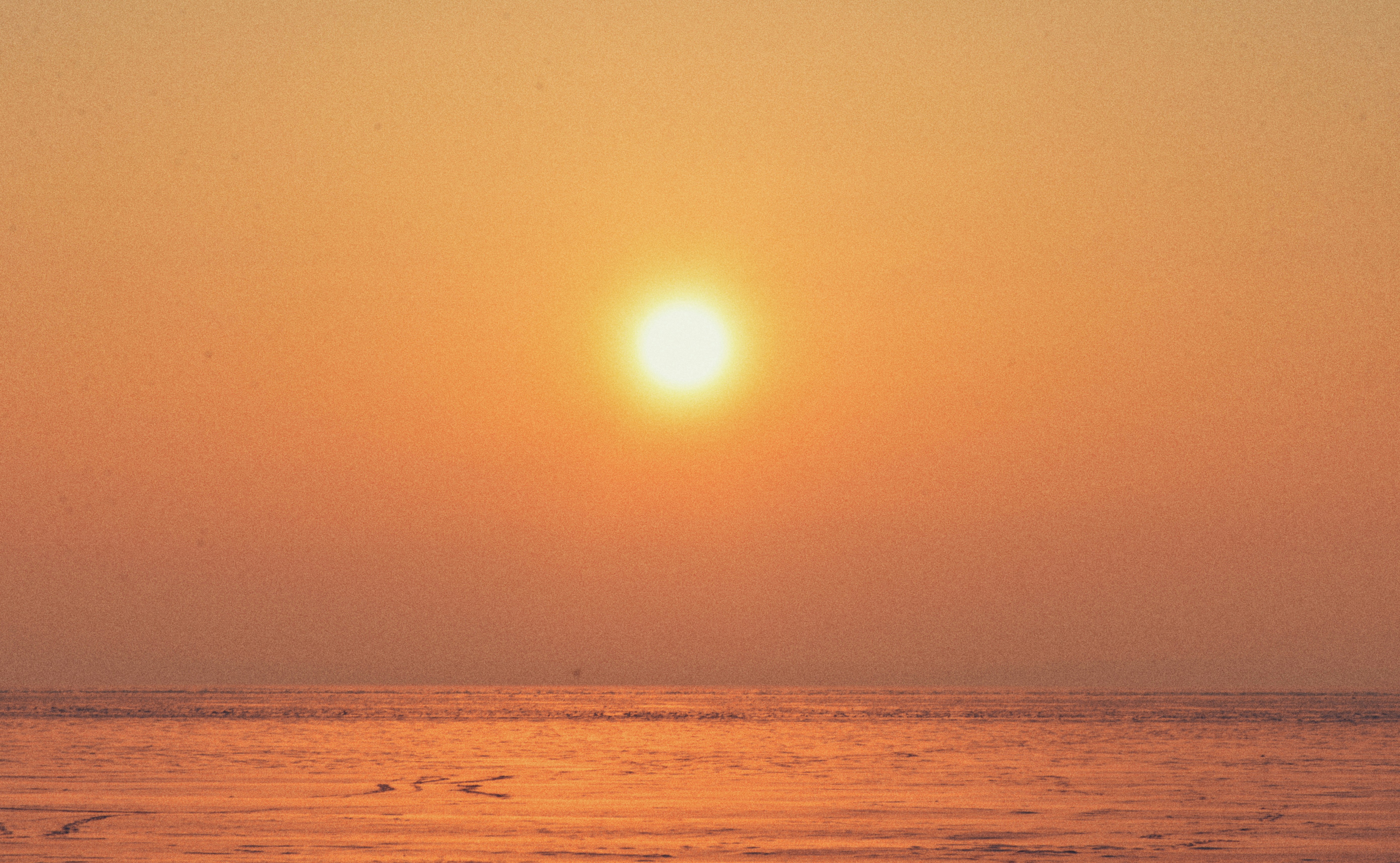 Photo by cherstve_pechivo