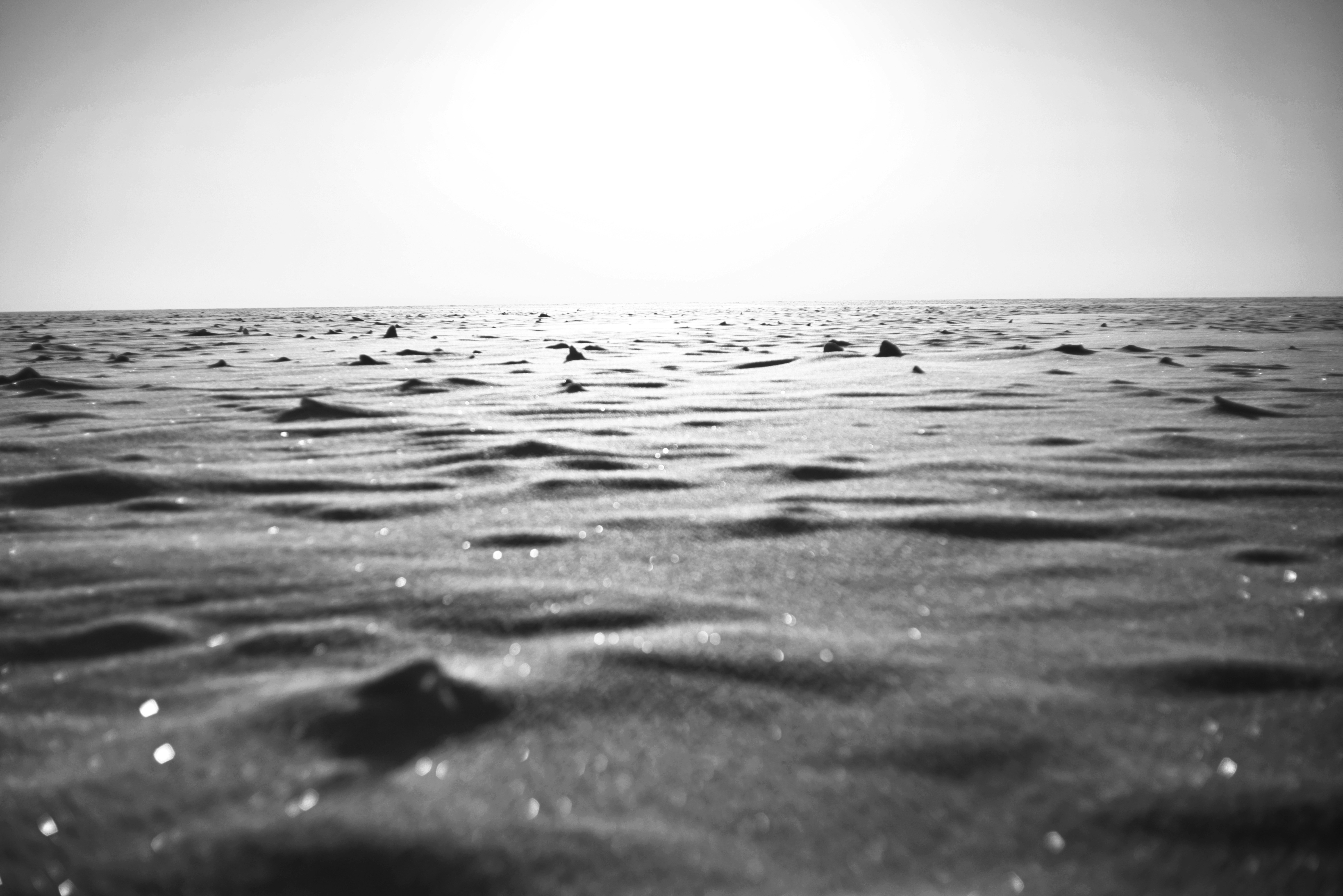 Photo by cherstve_pechivo