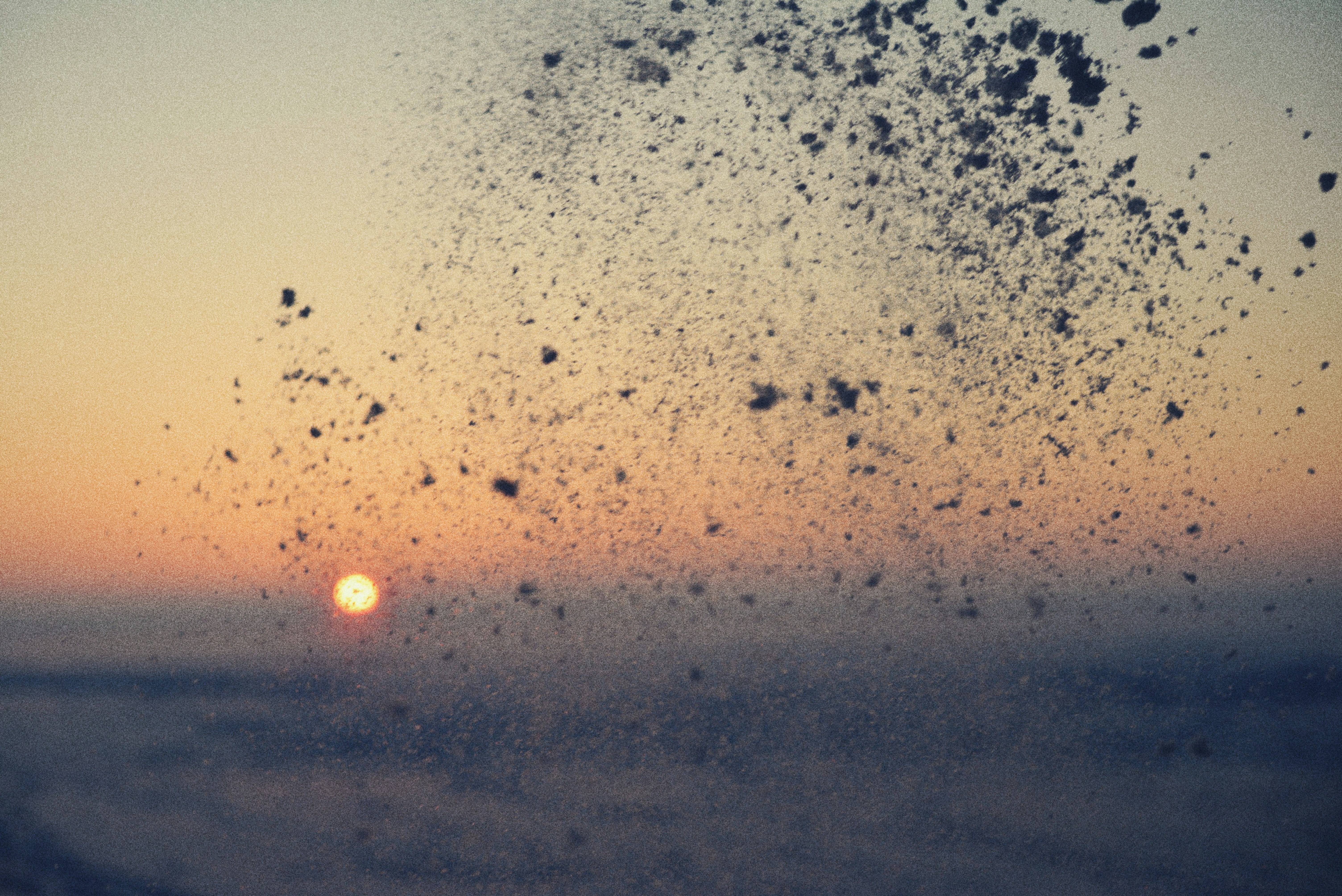 Snow falling against a sunset sky