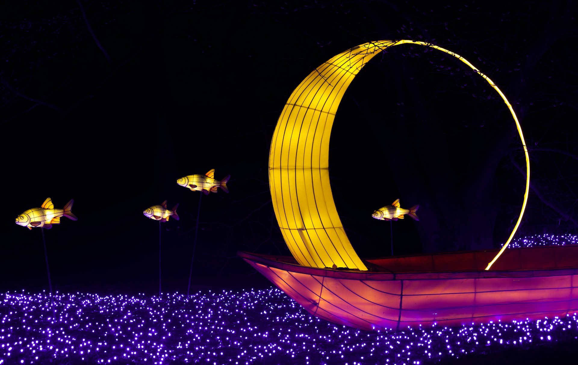 Boat with glowing fish lanterns at night display