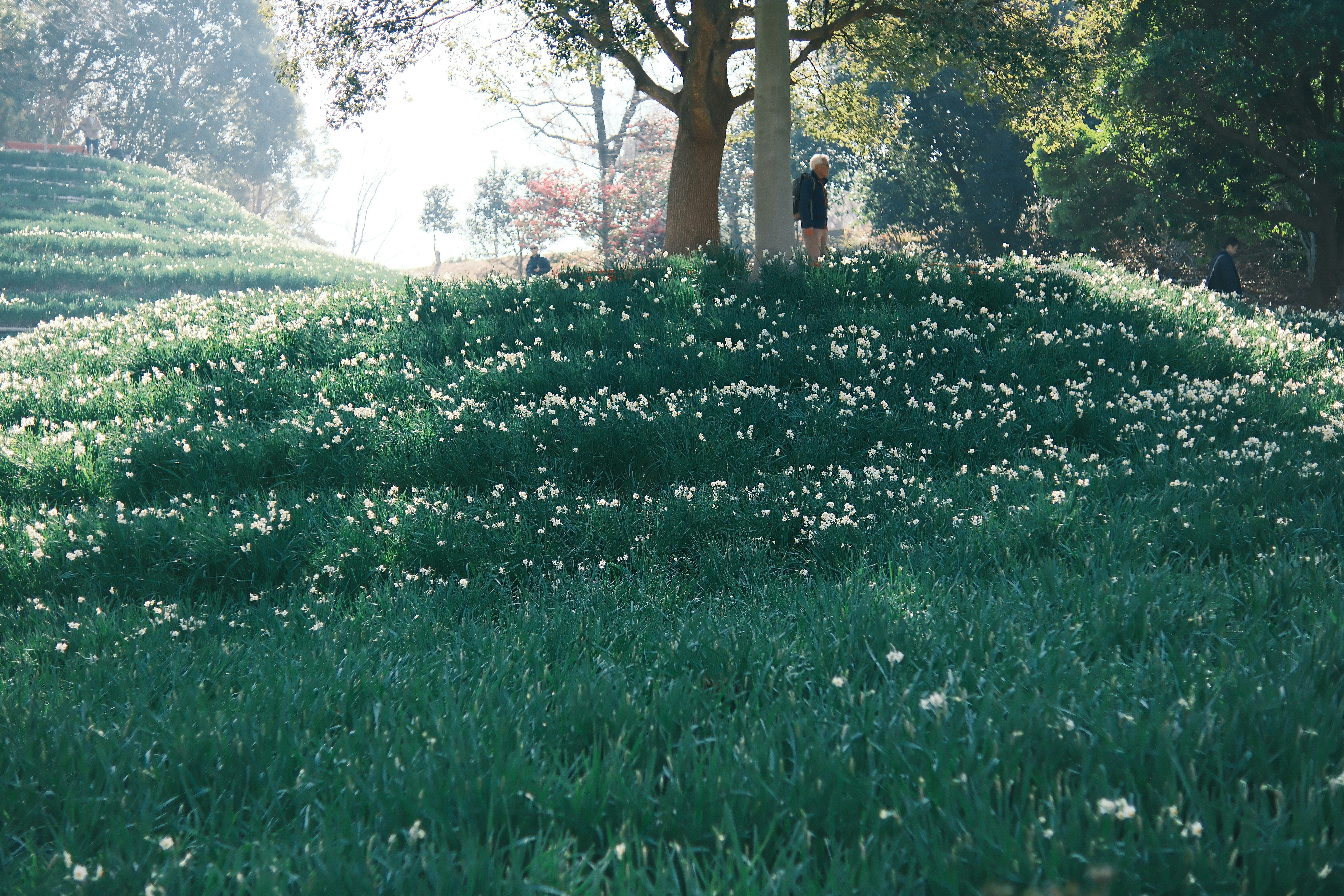 Photo by viendinh1995