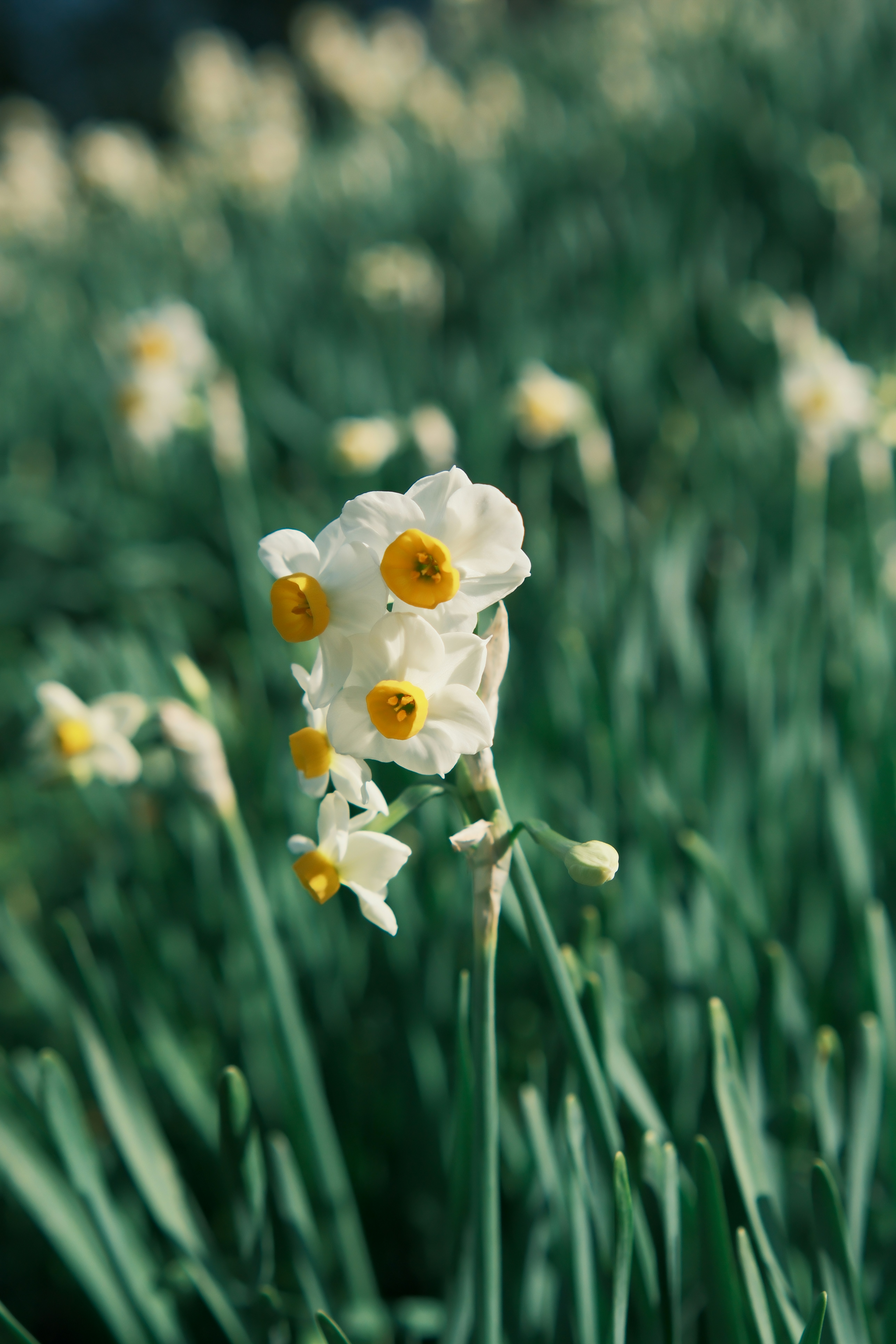 Photo by viendinh1995