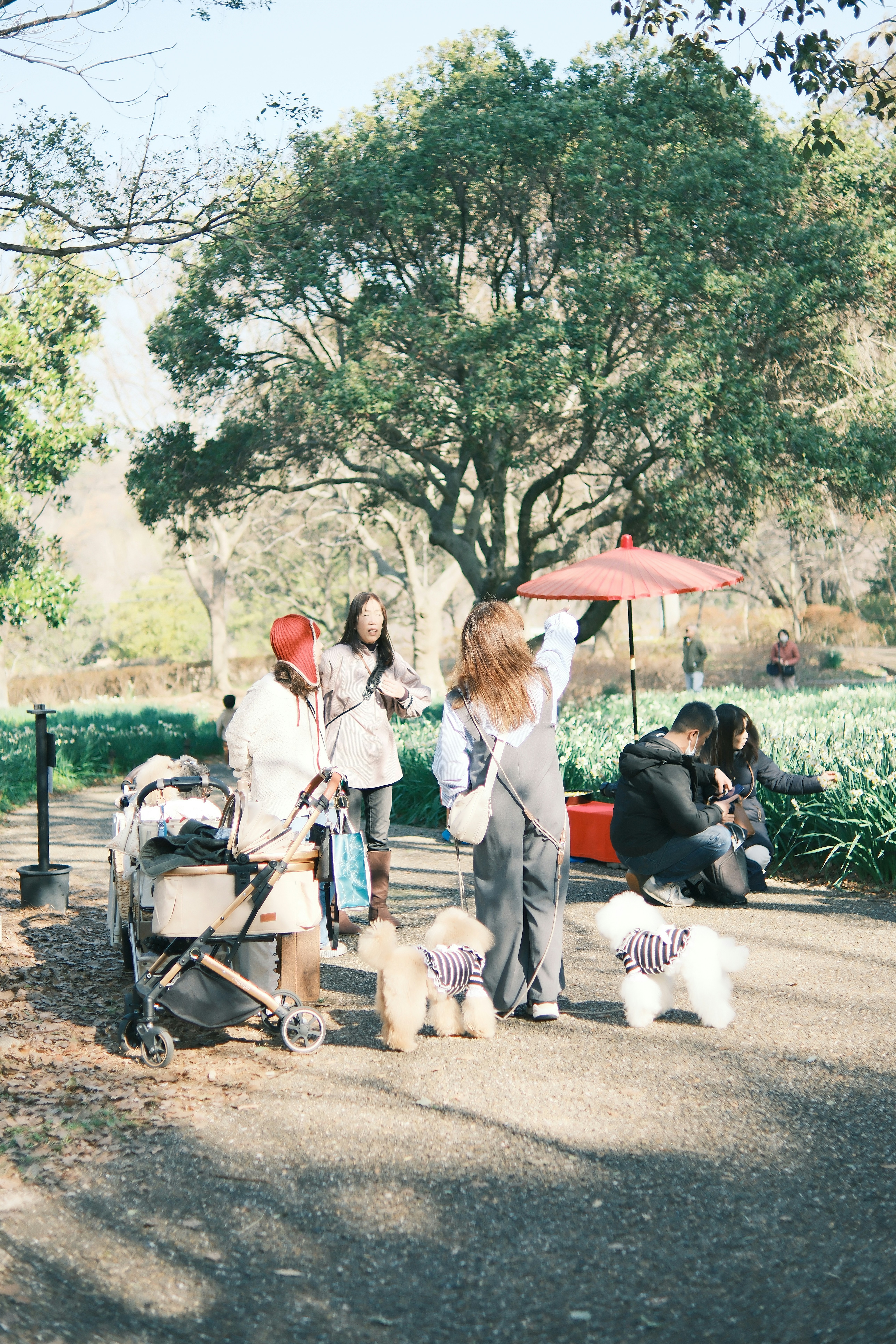 couple with pets in park