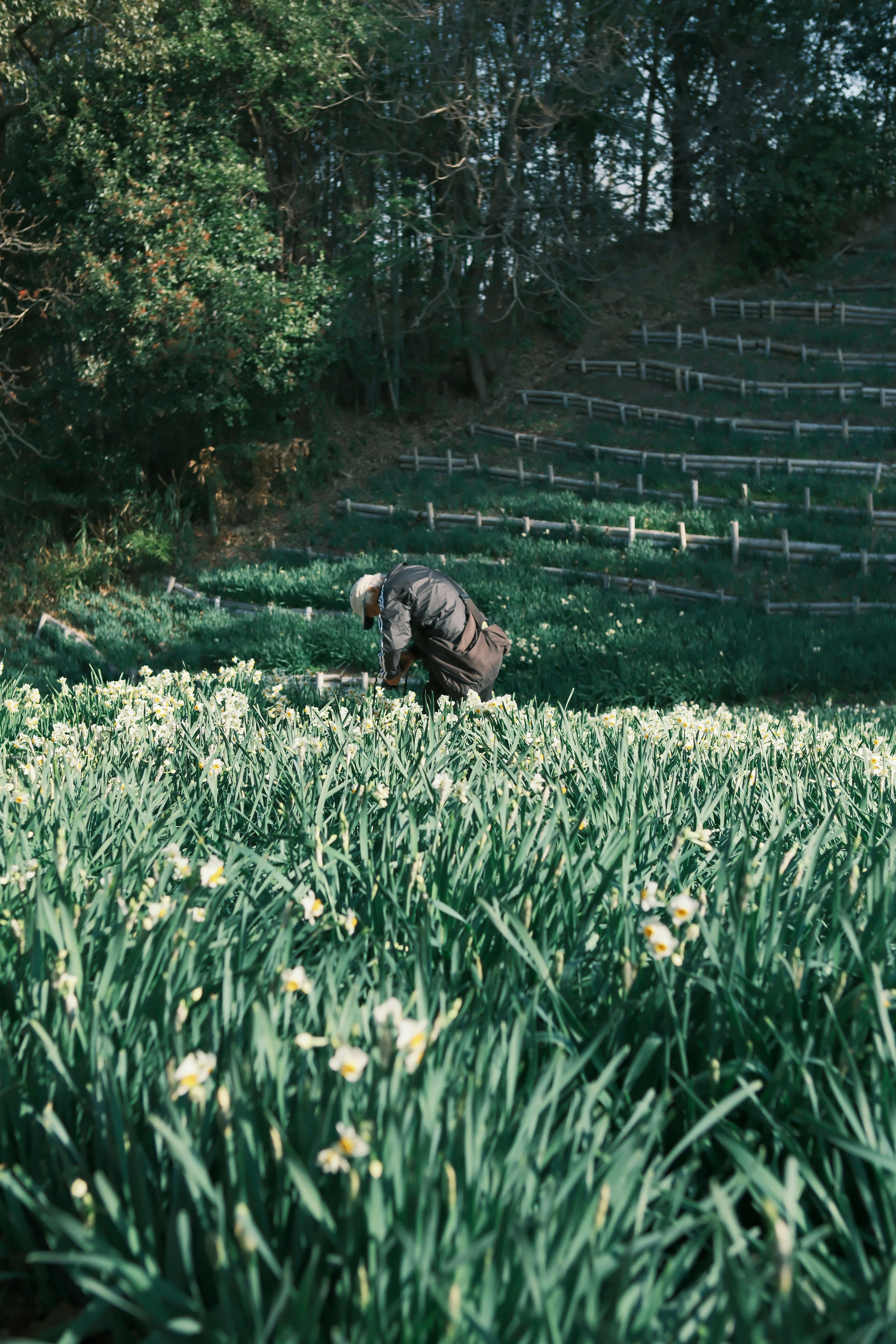 Photo by viendinh1995