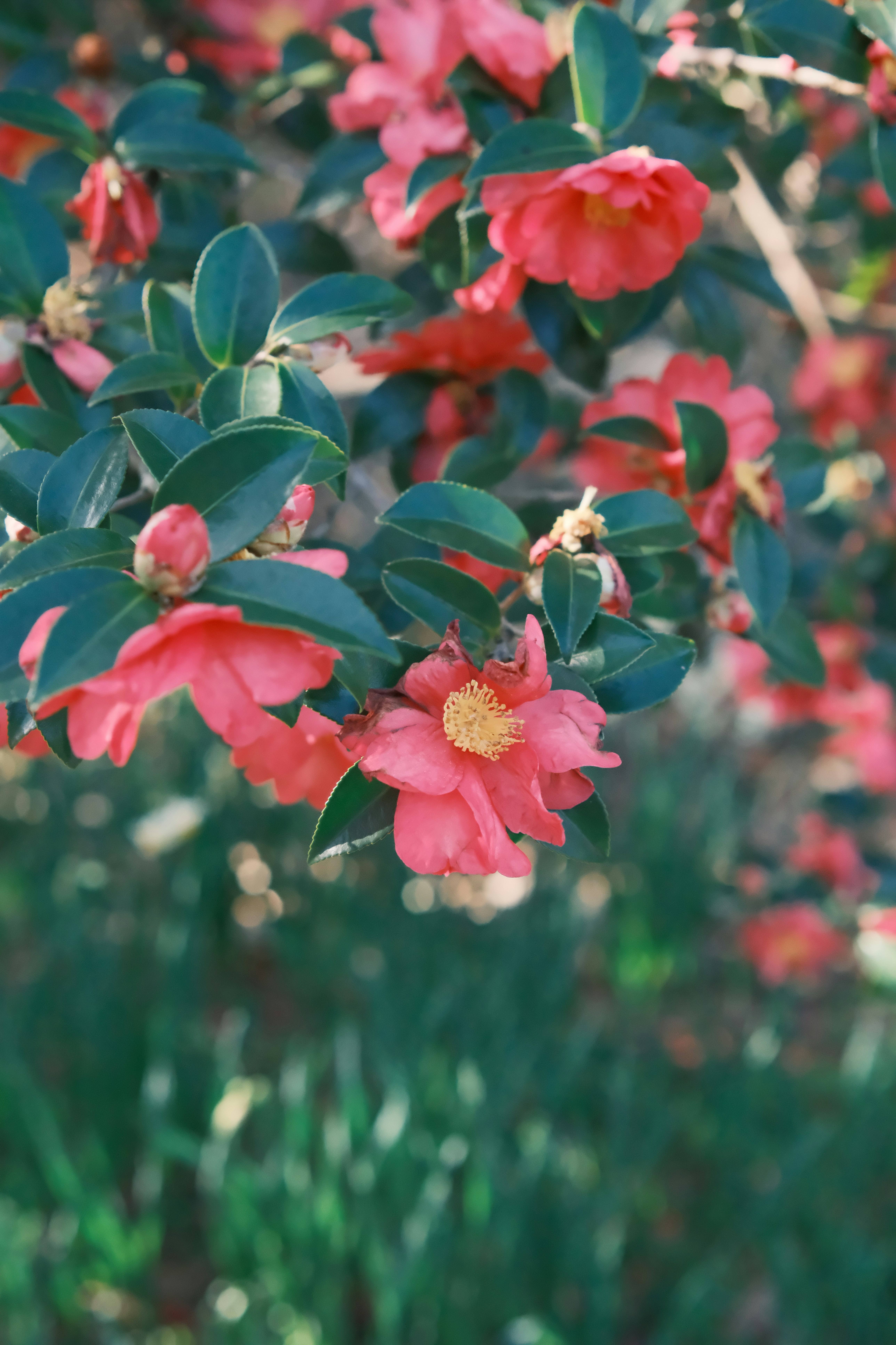 Photo by viendinh1995