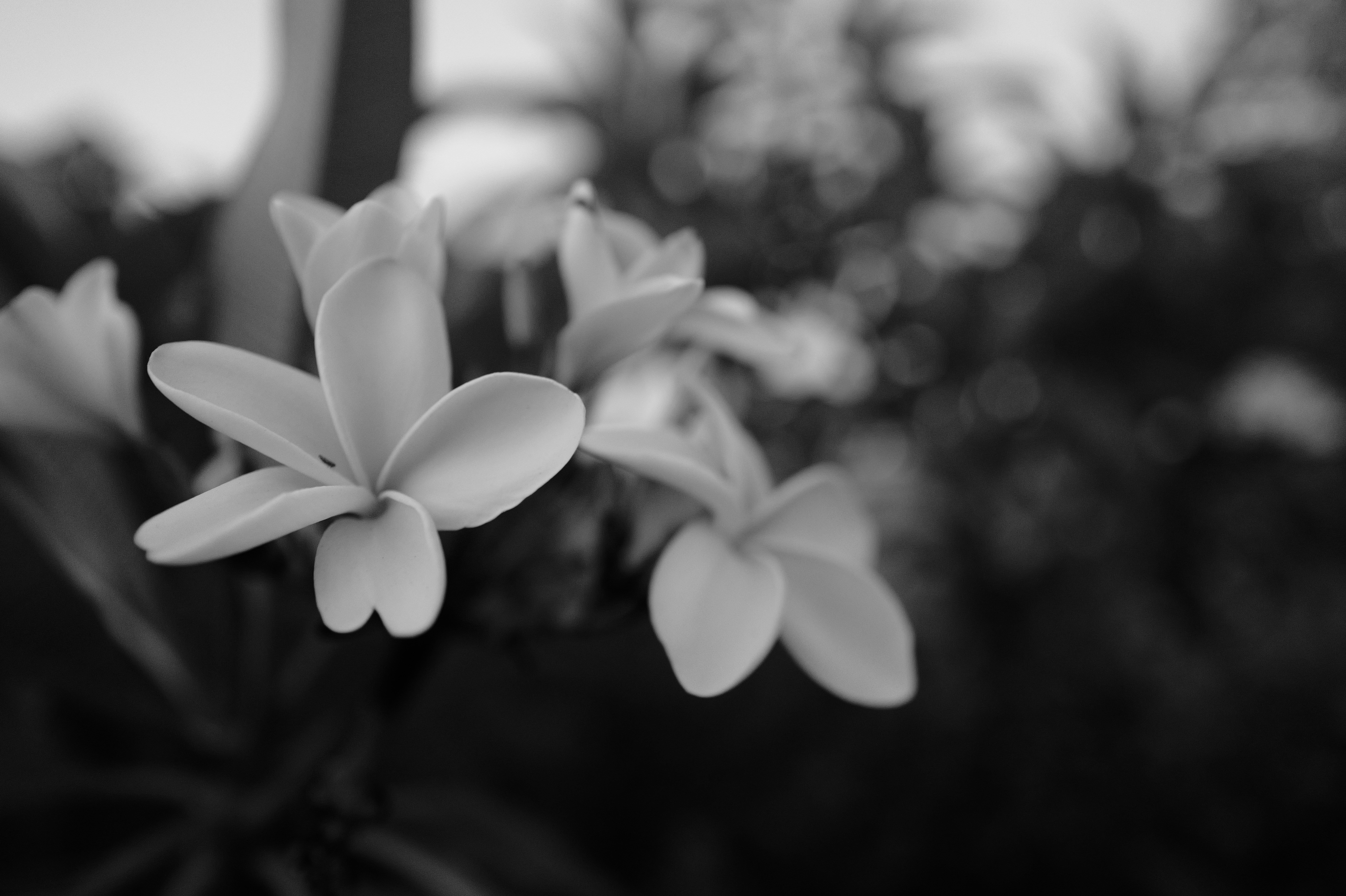 Photo by adammeredith