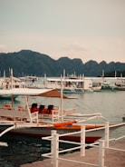 Numerous boats docked in a harbor with mountains behind