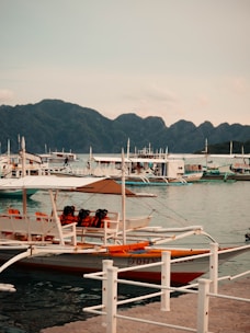 Numerous boats docked in a harbor with mountains behind
