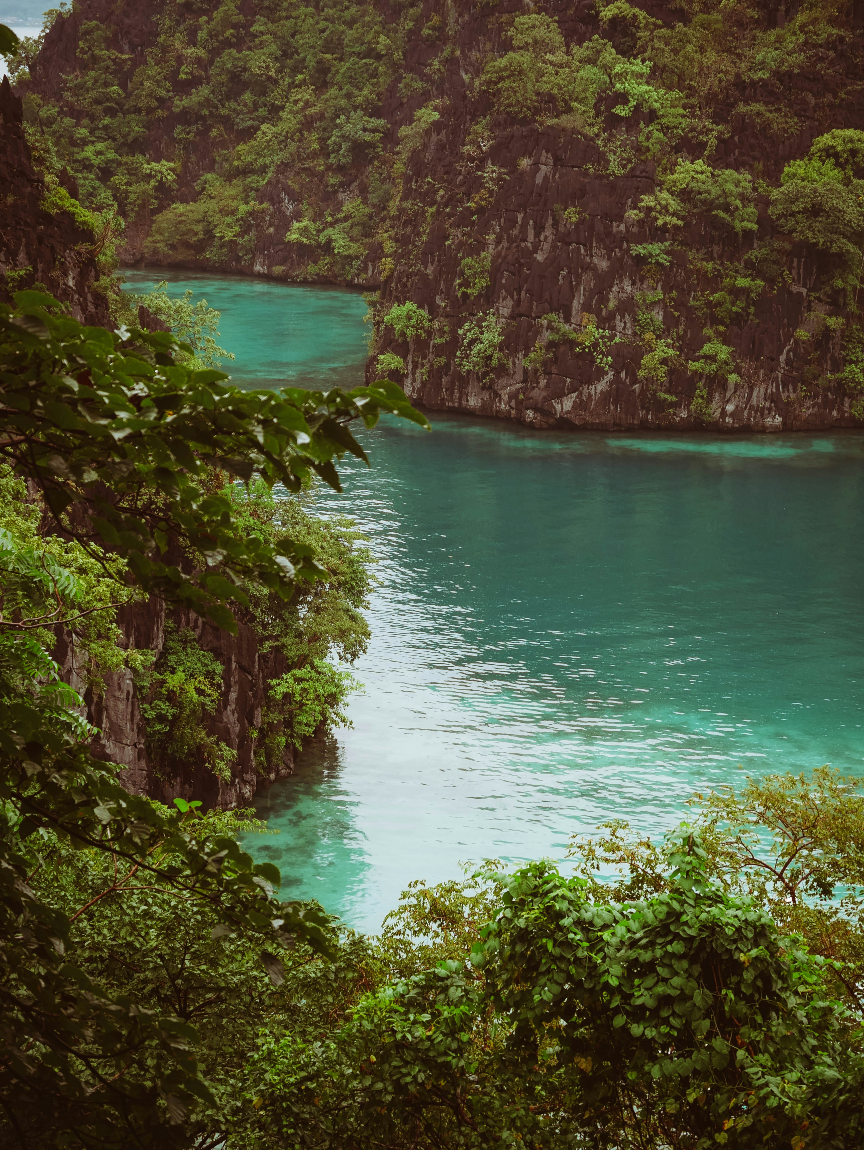 Turquoise water flows between lush green cliffs and trees.